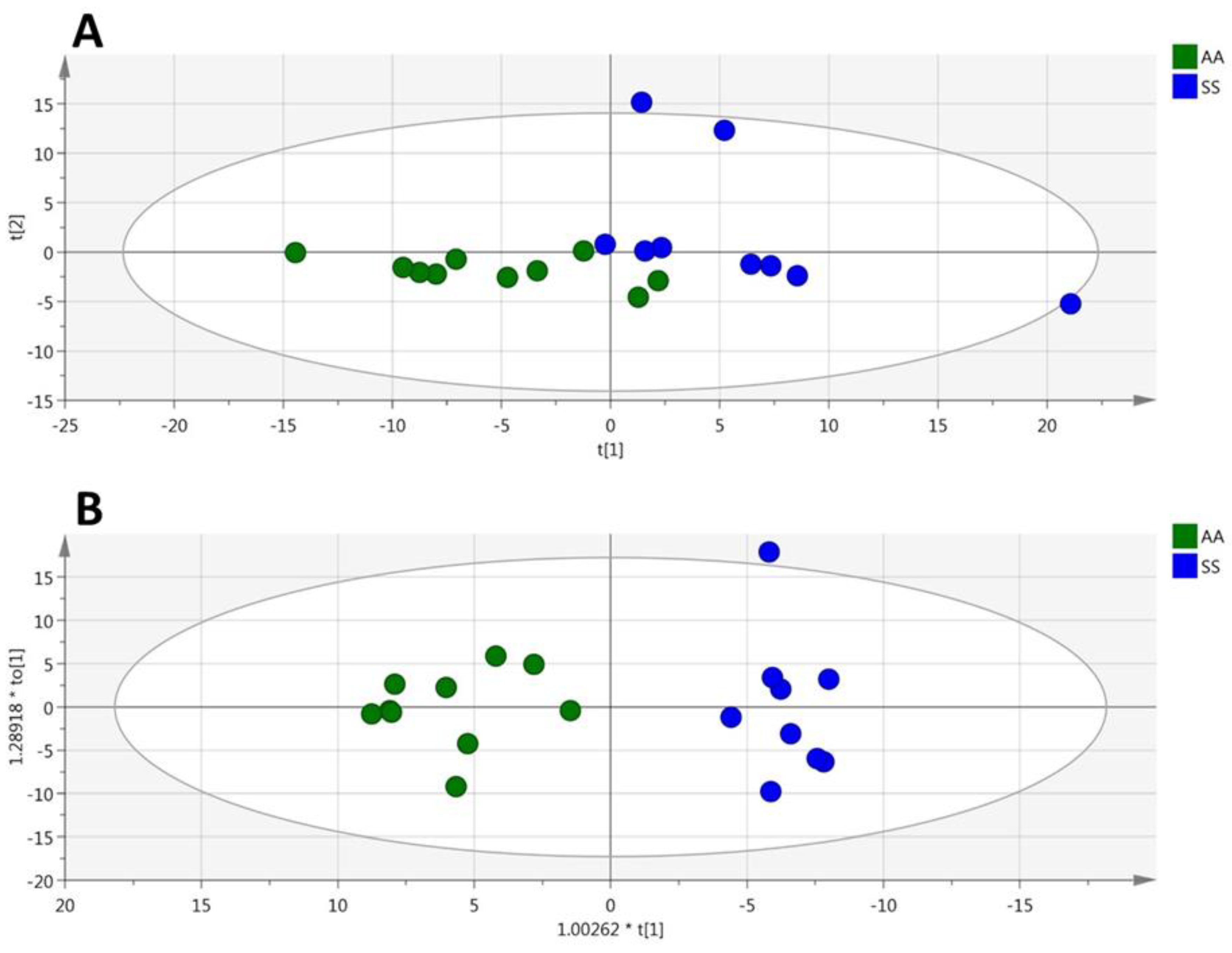 Cells 09 01334 g006 Cells 09 01334 g006