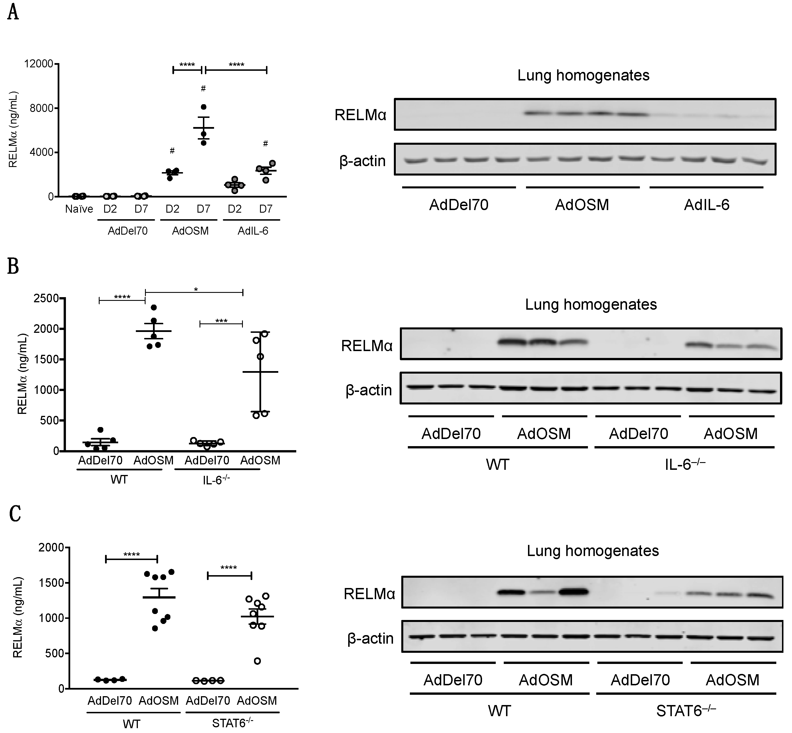 Cells 09 01338 g003 Cells 09 01338 g003