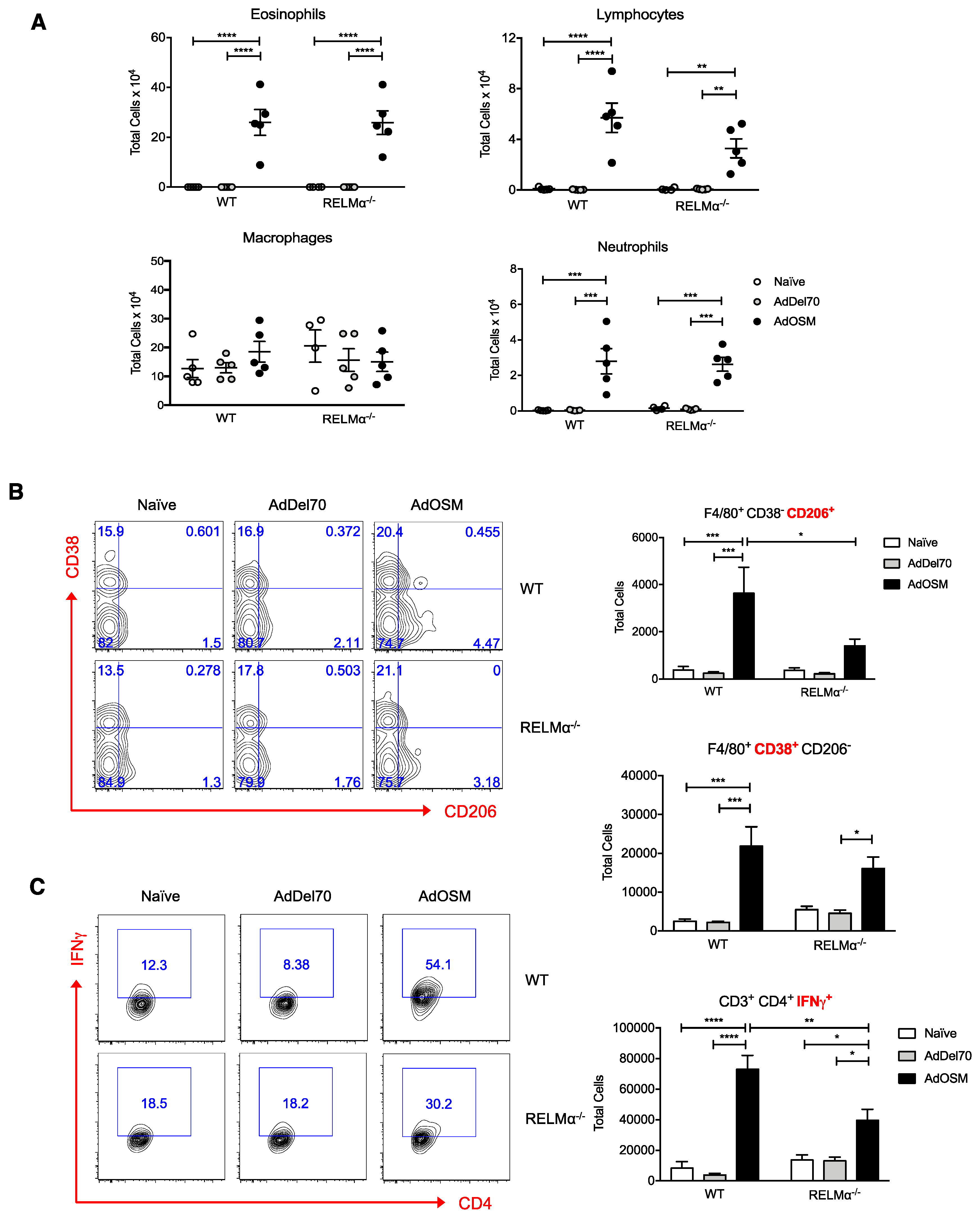 Cells 09 01338 g007 Cells 09 01338 g007