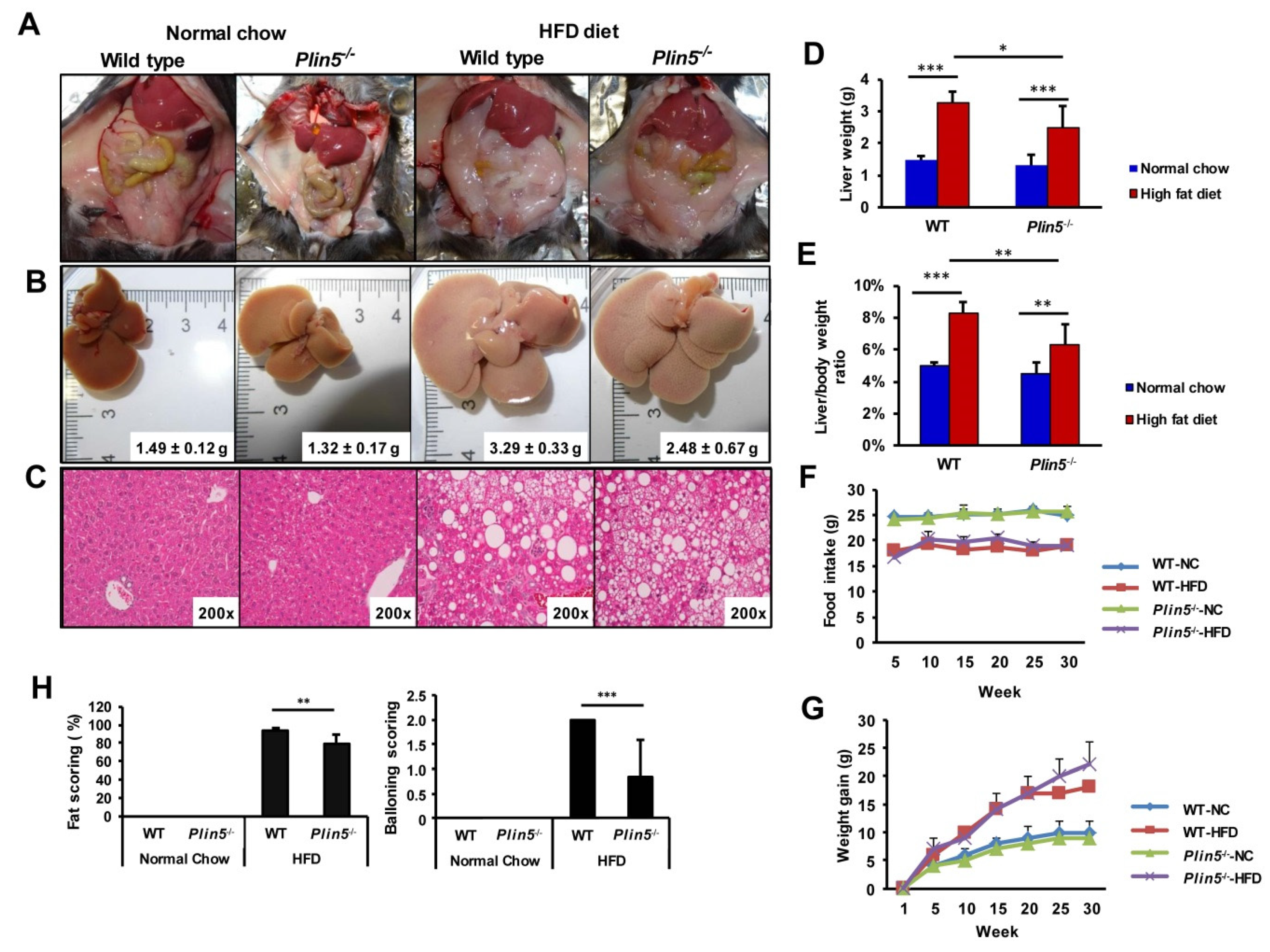 Cells 09 01346 g002 Cells 09 01346 g002