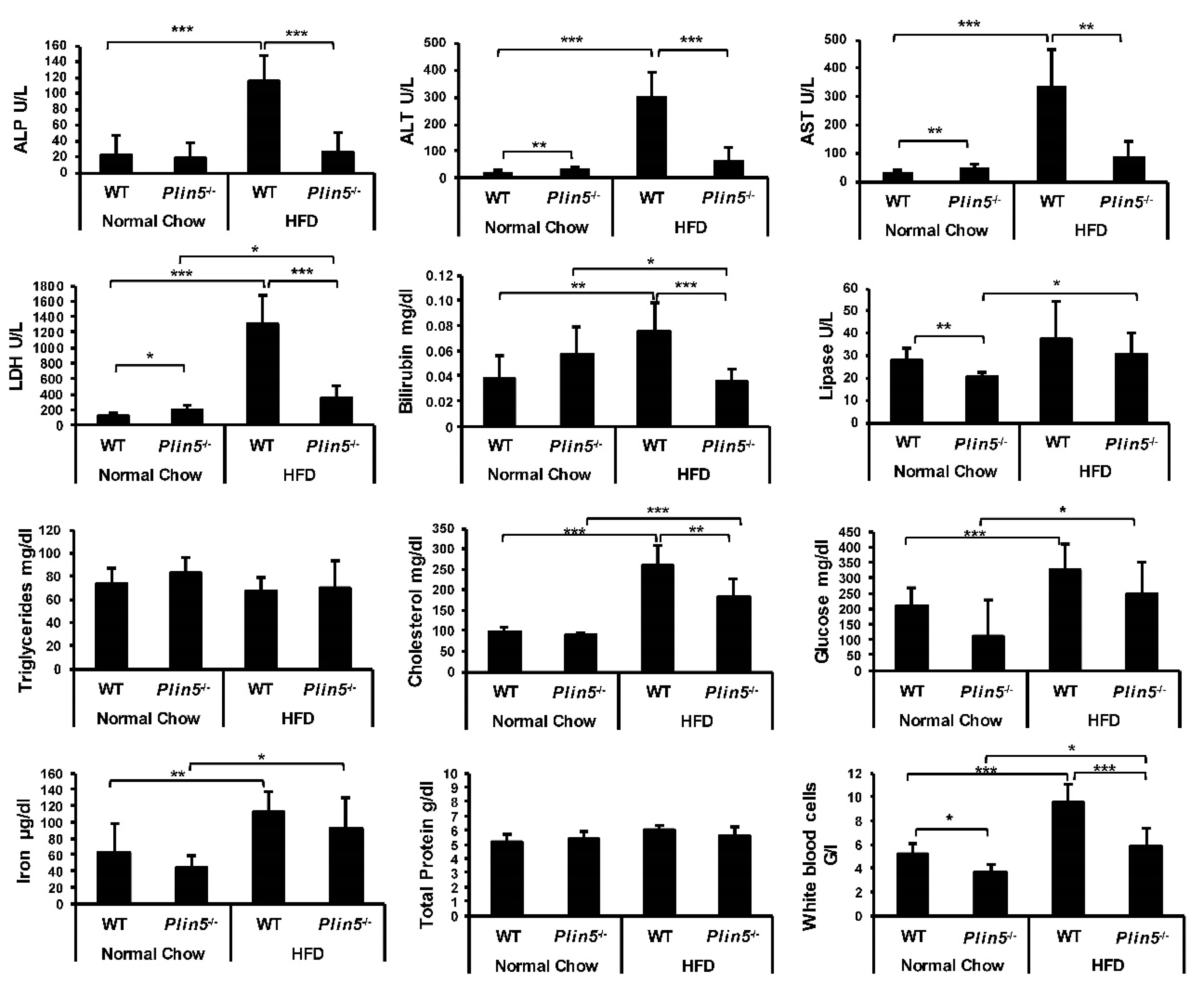 Cells 09 01346 g003 Cells 09 01346 g003