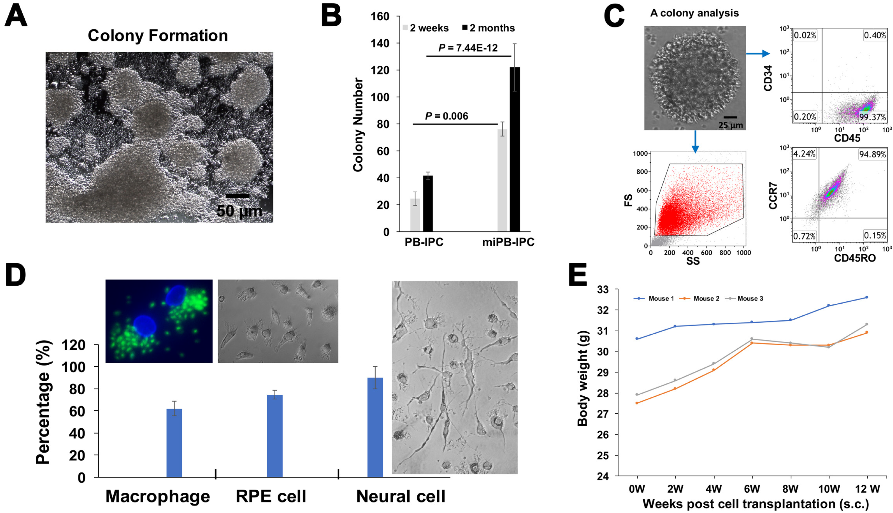 Cells 09 01350 g004a