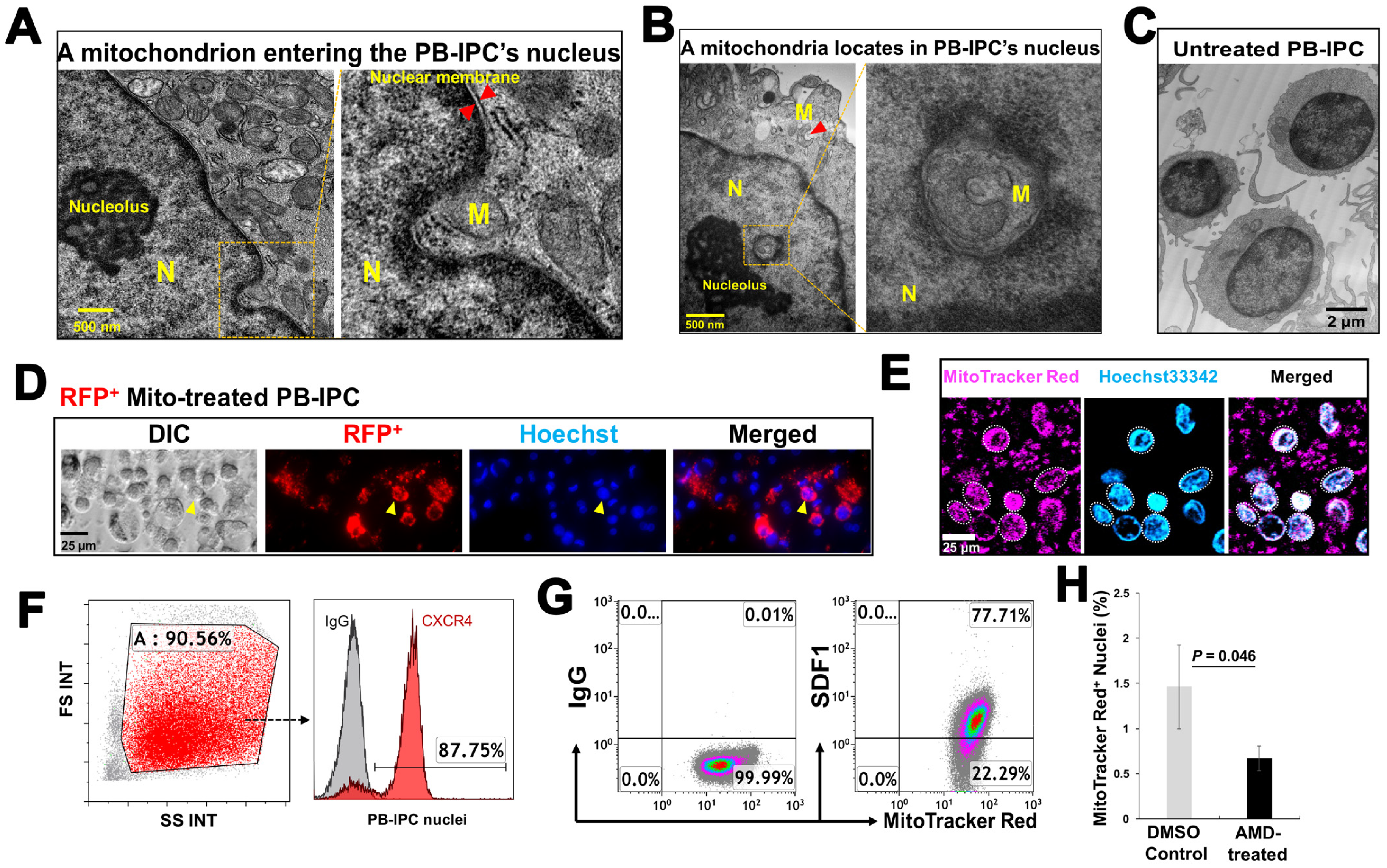 Cells 09 01350 g005