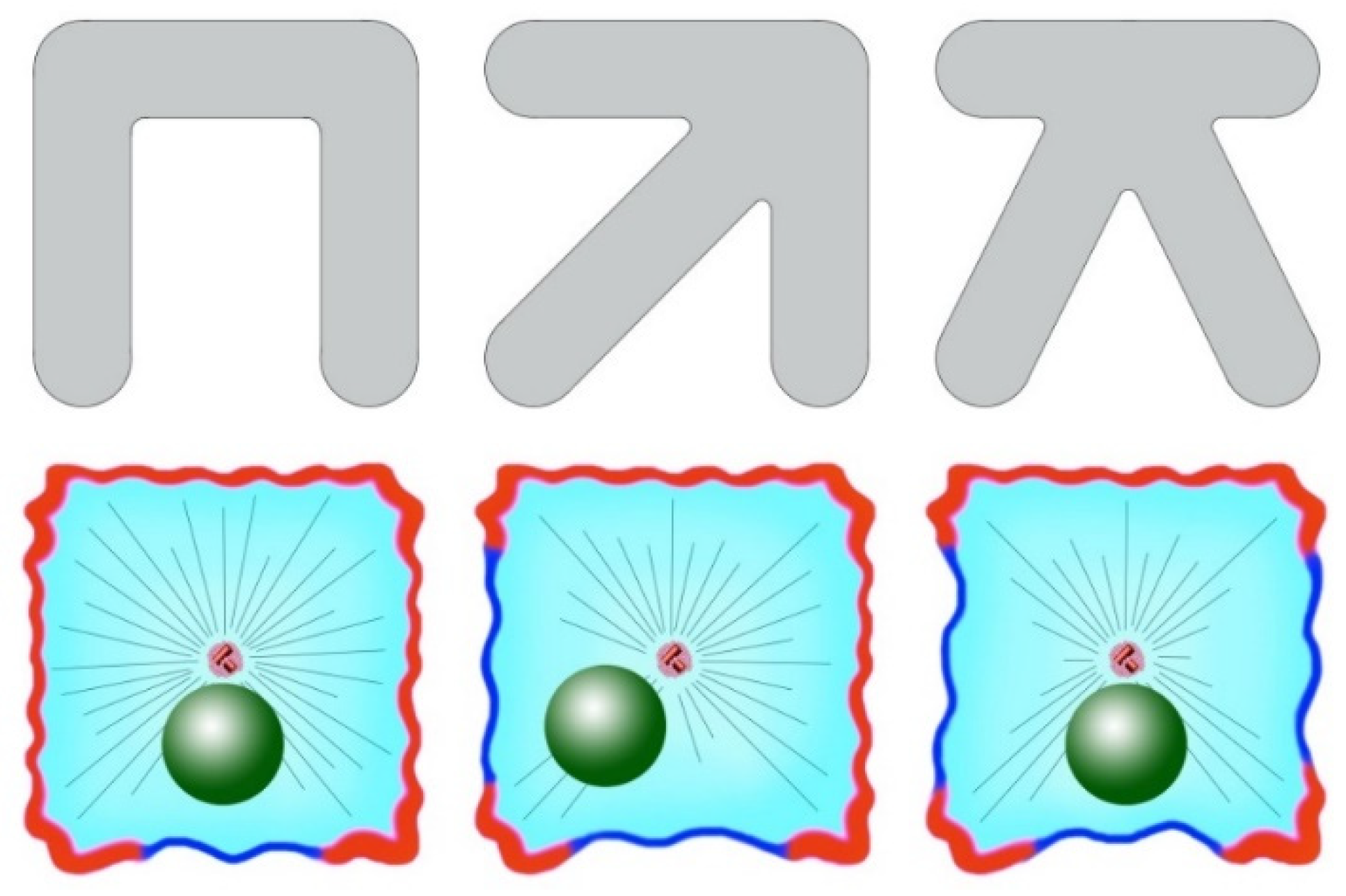 Cells 09 01351 g003 Cells 09 01351 g003