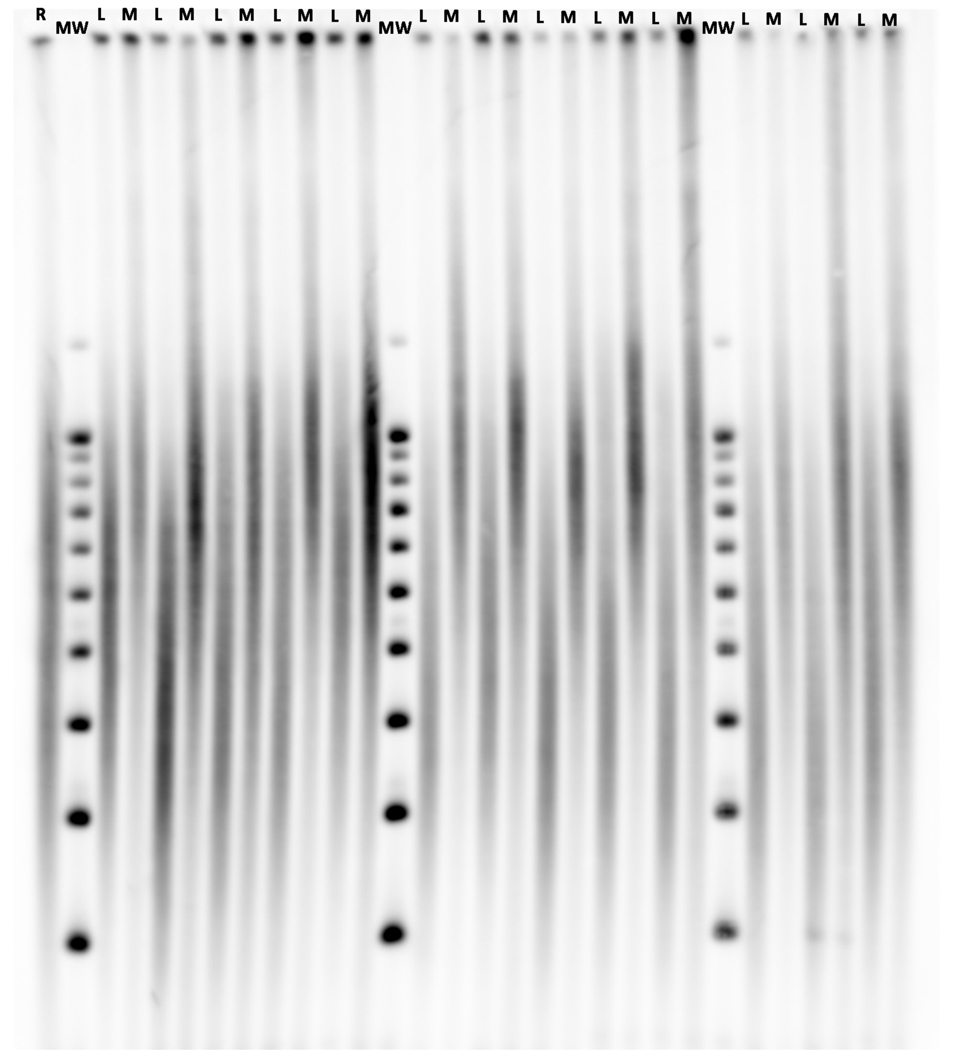 Cells 09 01360 g001 Cells 09 01360 g001