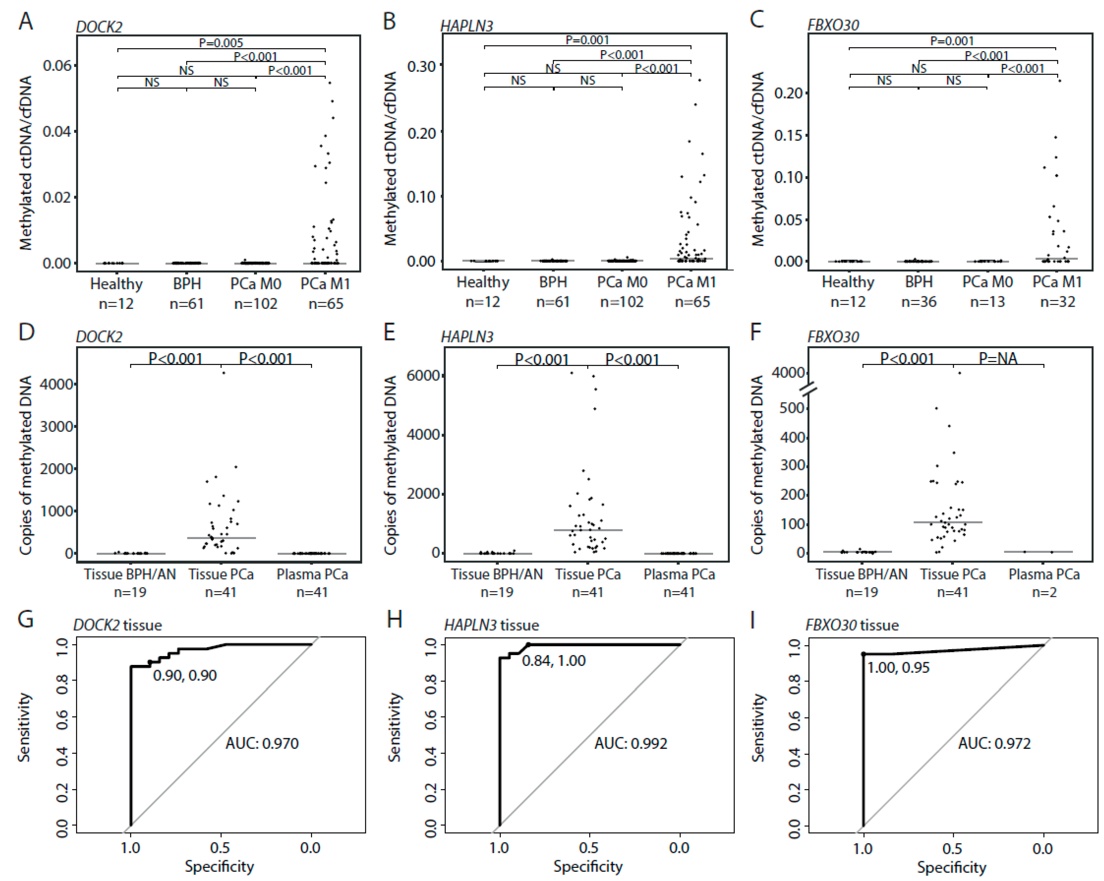 Cells 09 01362 g003 Cells 09 01362 g003