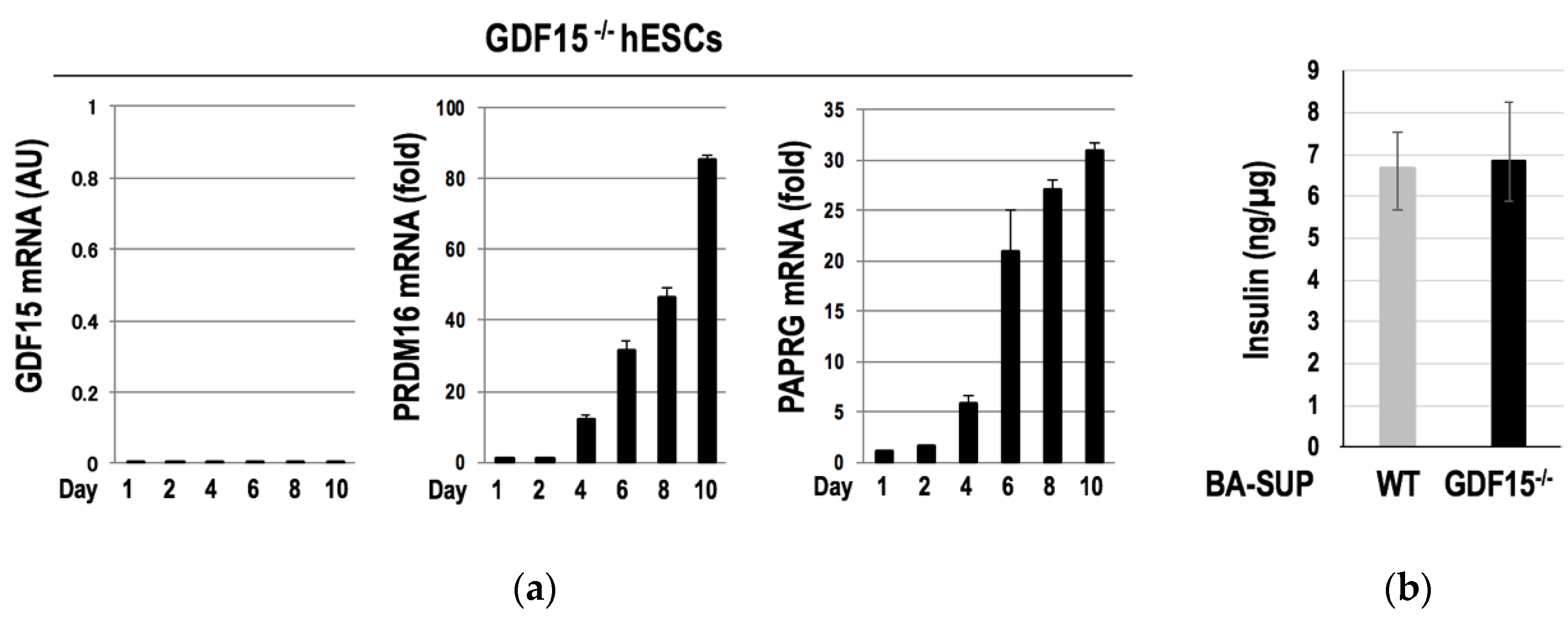 Cells 09 01365 g004 Cells 09 01365 g004