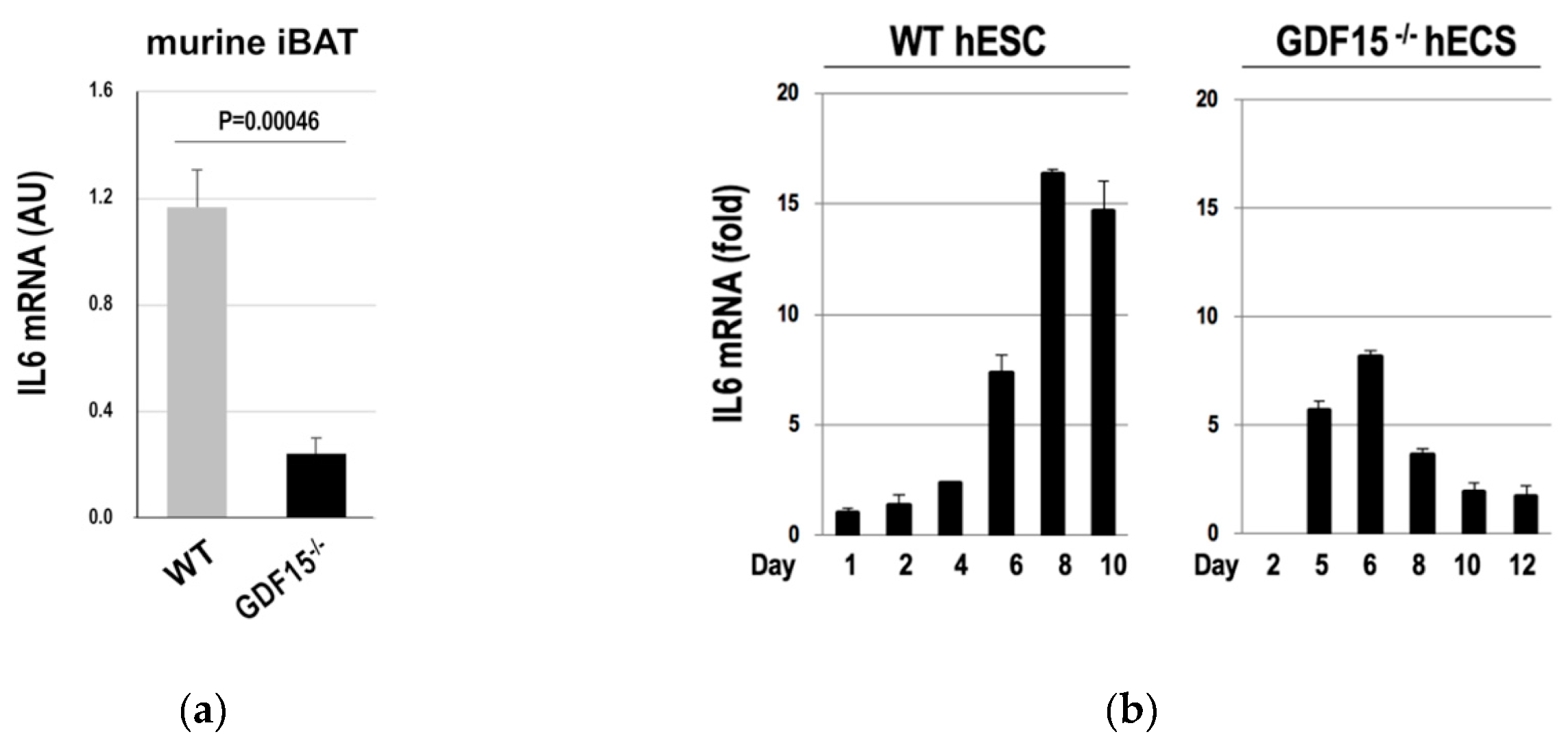 Cells 09 01365 g005 Cells 09 01365 g005