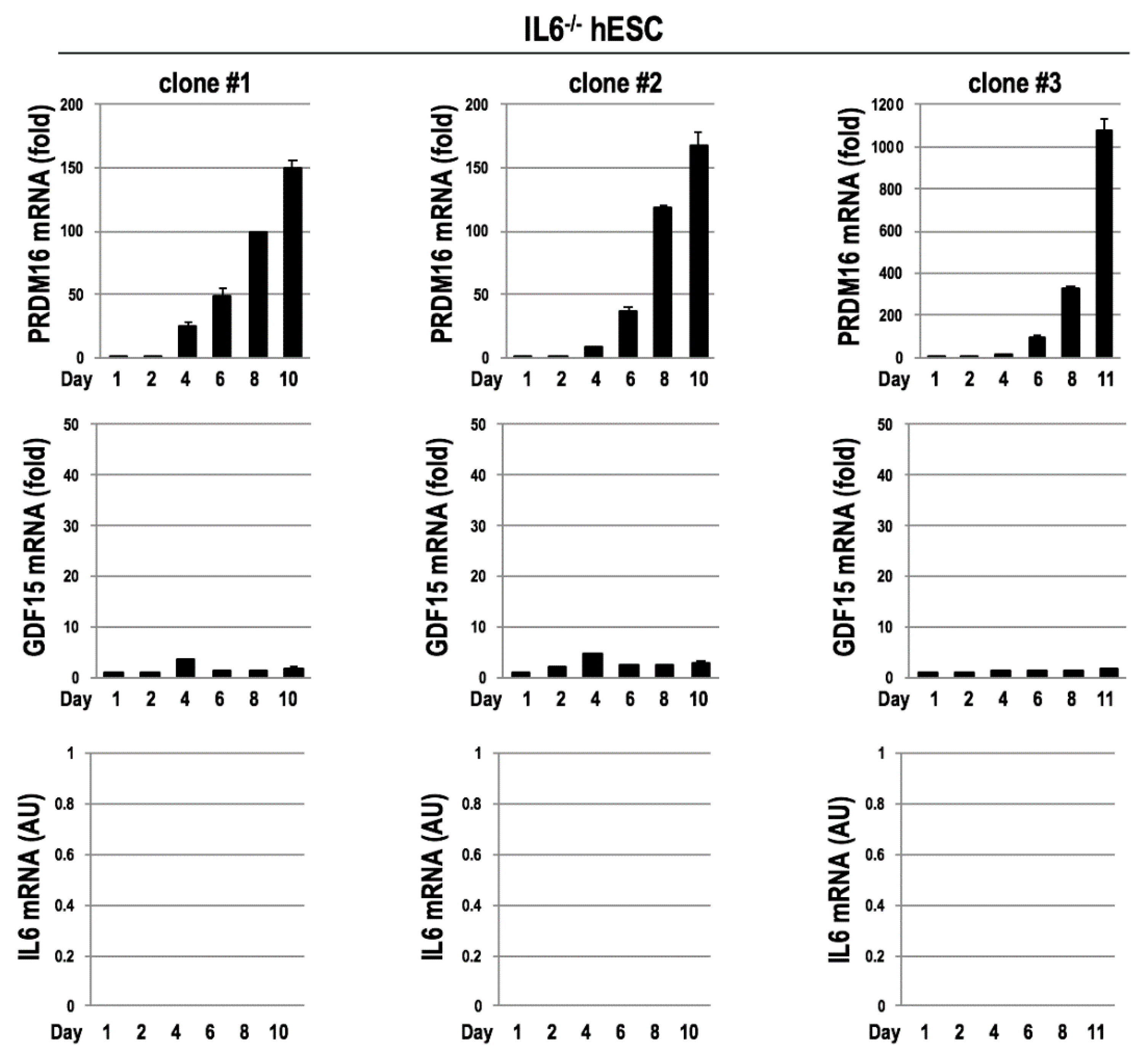 Cells 09 01365 g006 Cells 09 01365 g006