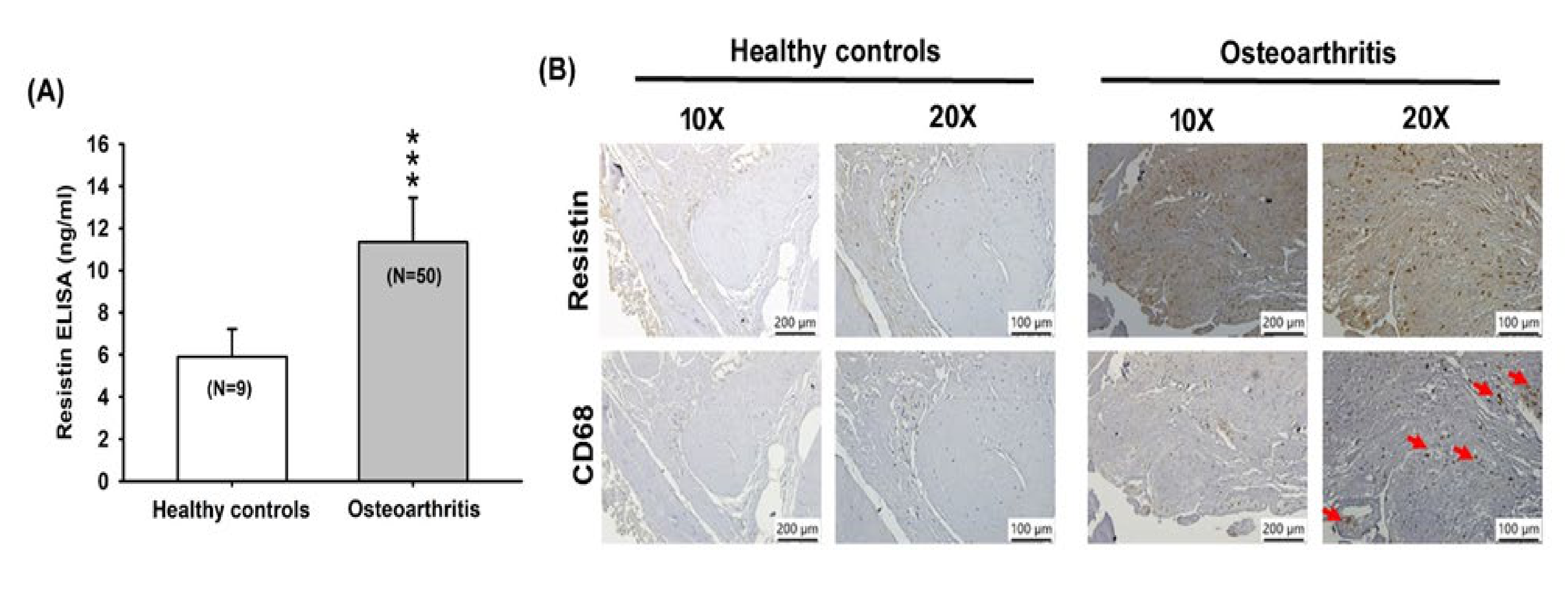 Cells 09 01369 g001 Cells 09 01369 g001