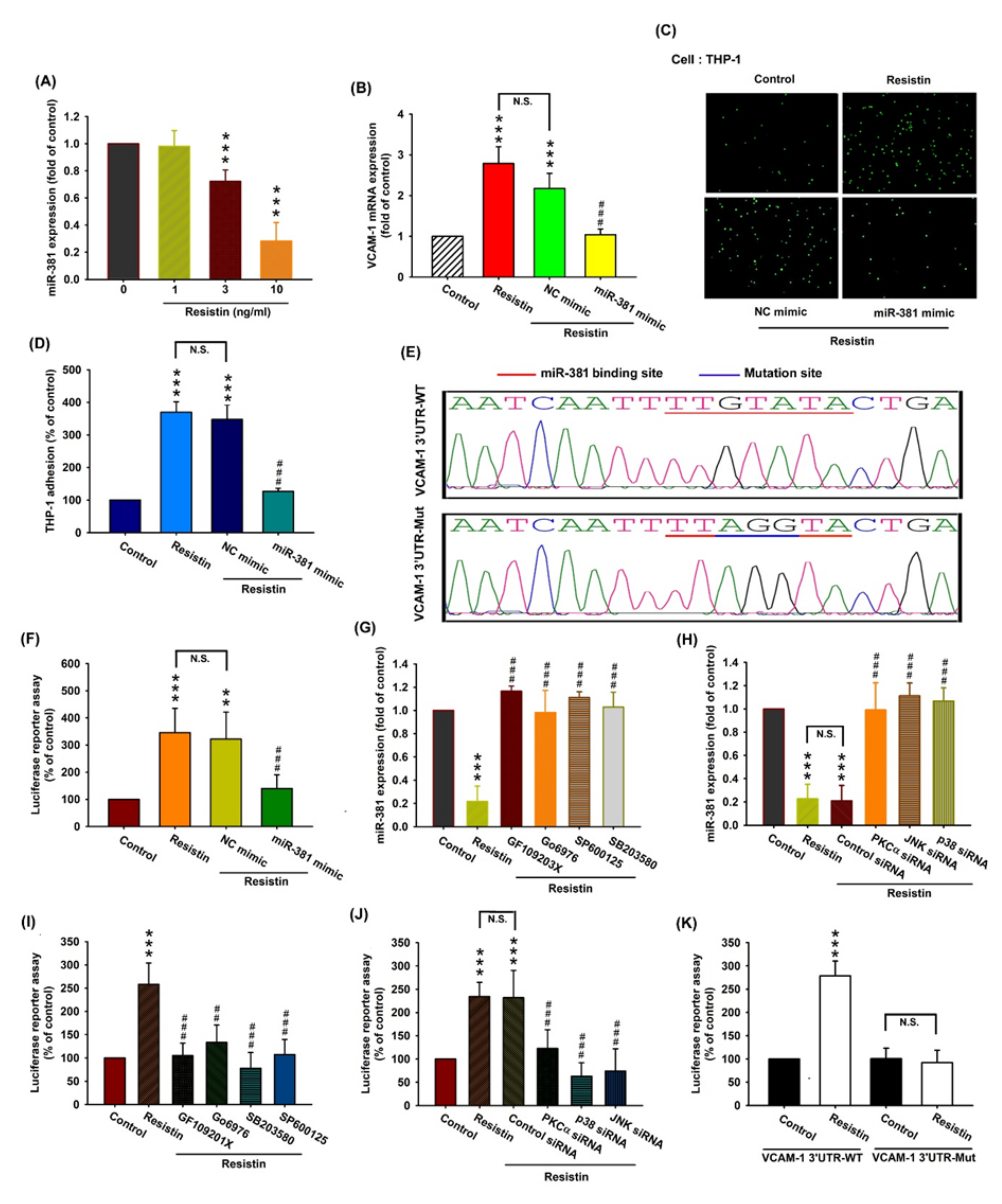 Cells 09 01369 g005 Cells 09 01369 g005