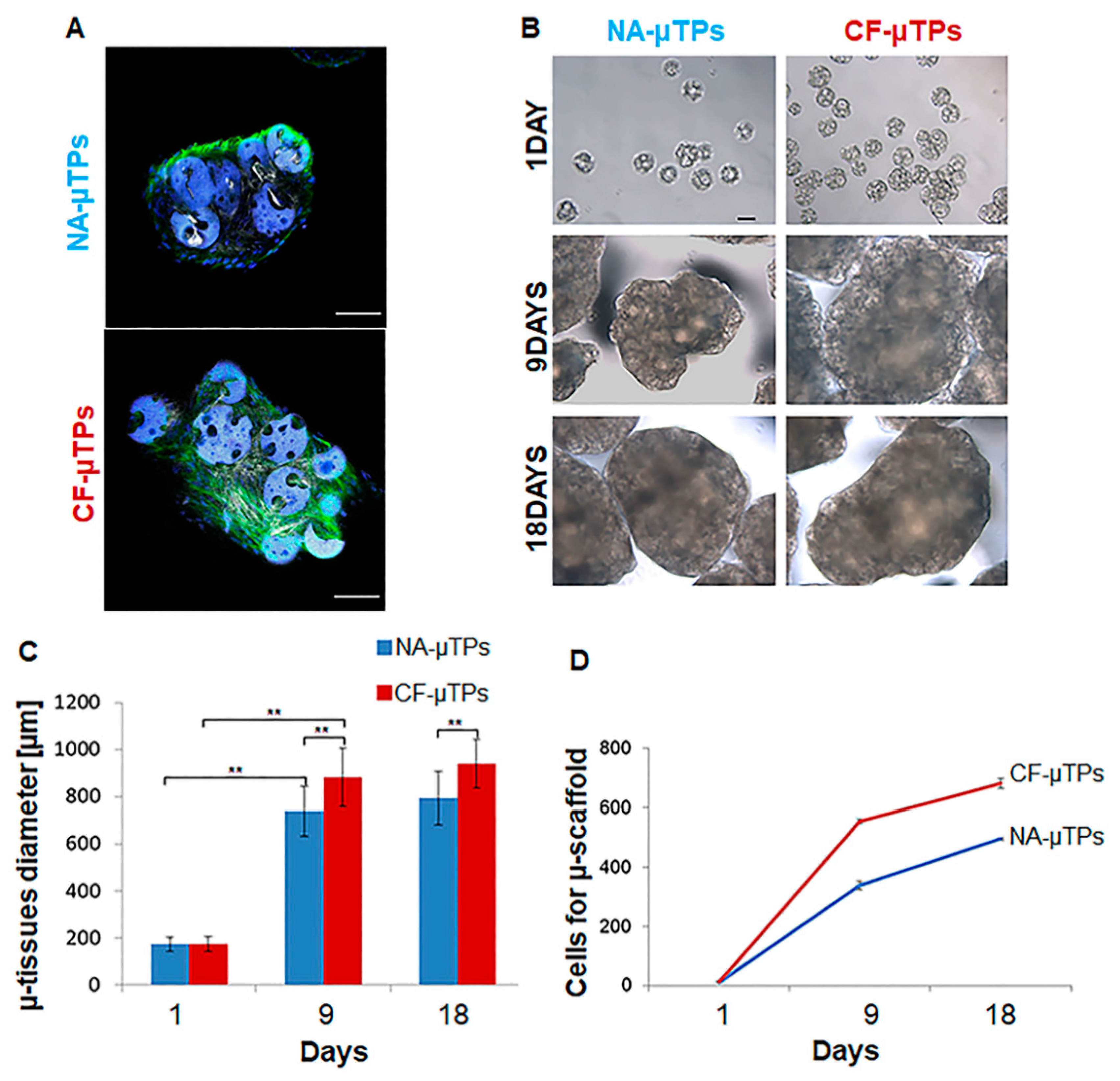 Cells 09 01371 g002 Cells 09 01371 g002