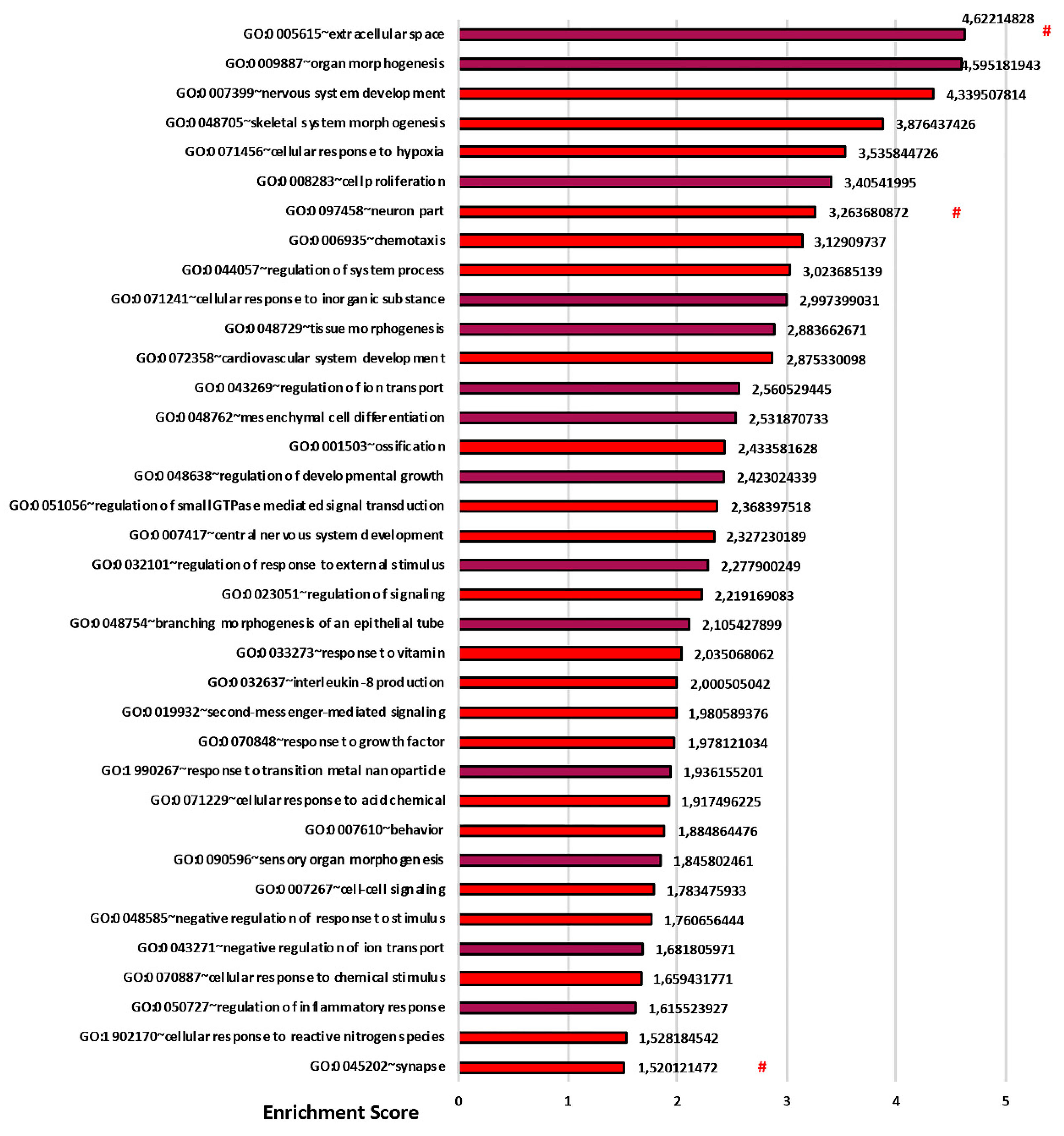Cells 09 01371 g005 Cells 09 01371 g005