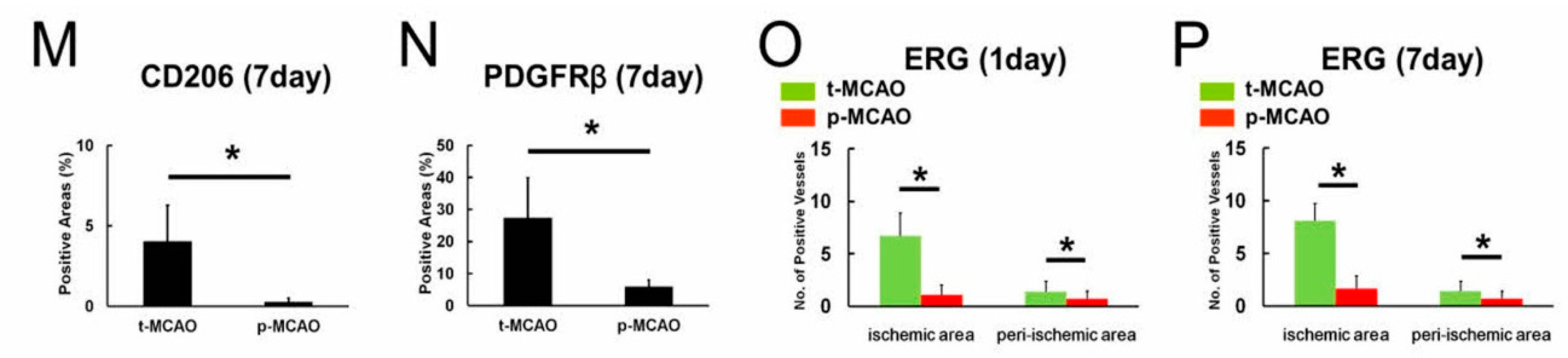 Cells 09 01374 g003b Cells 09 01374 g003b