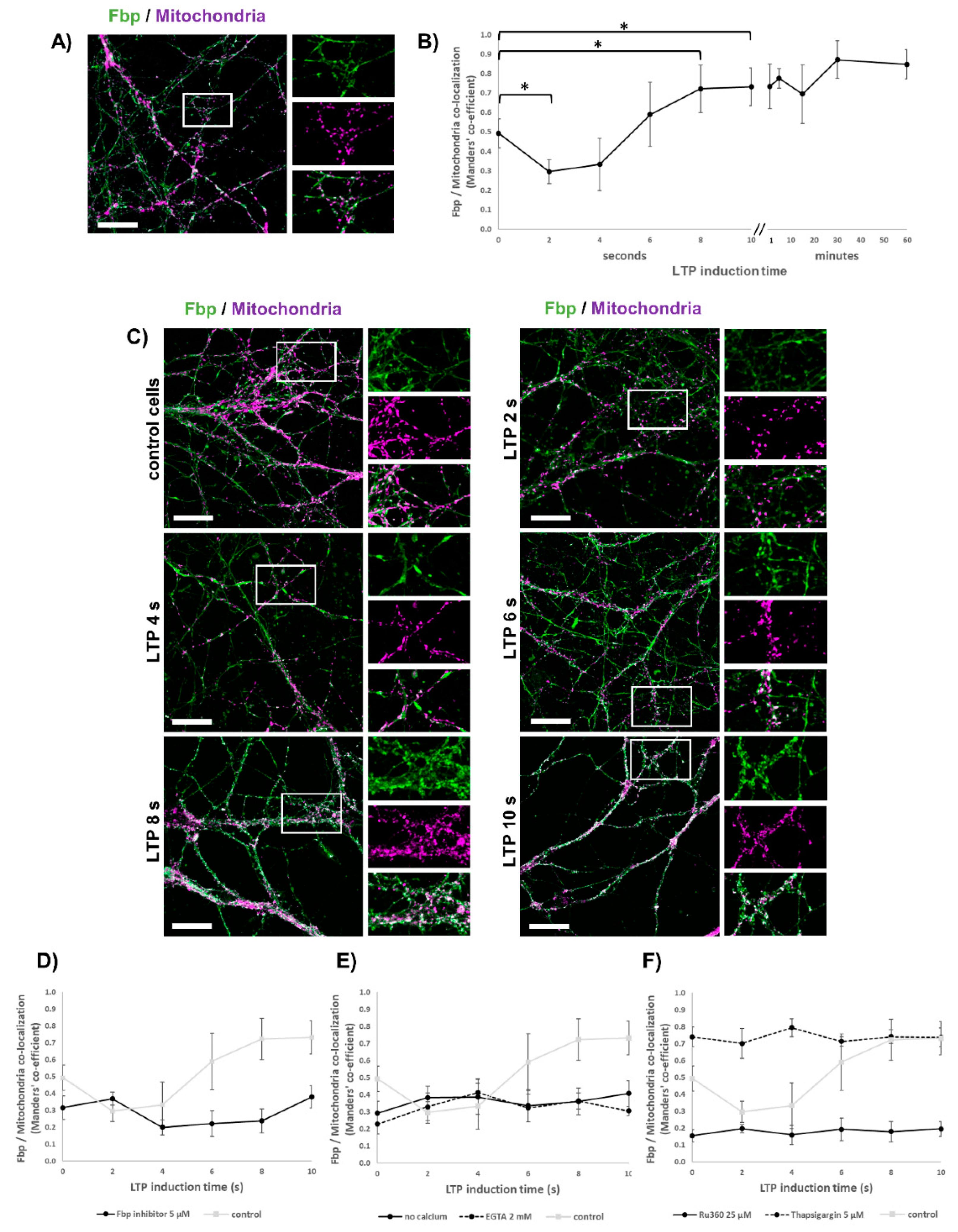 Cells 09 01375 g002 Cells 09 01375 g002