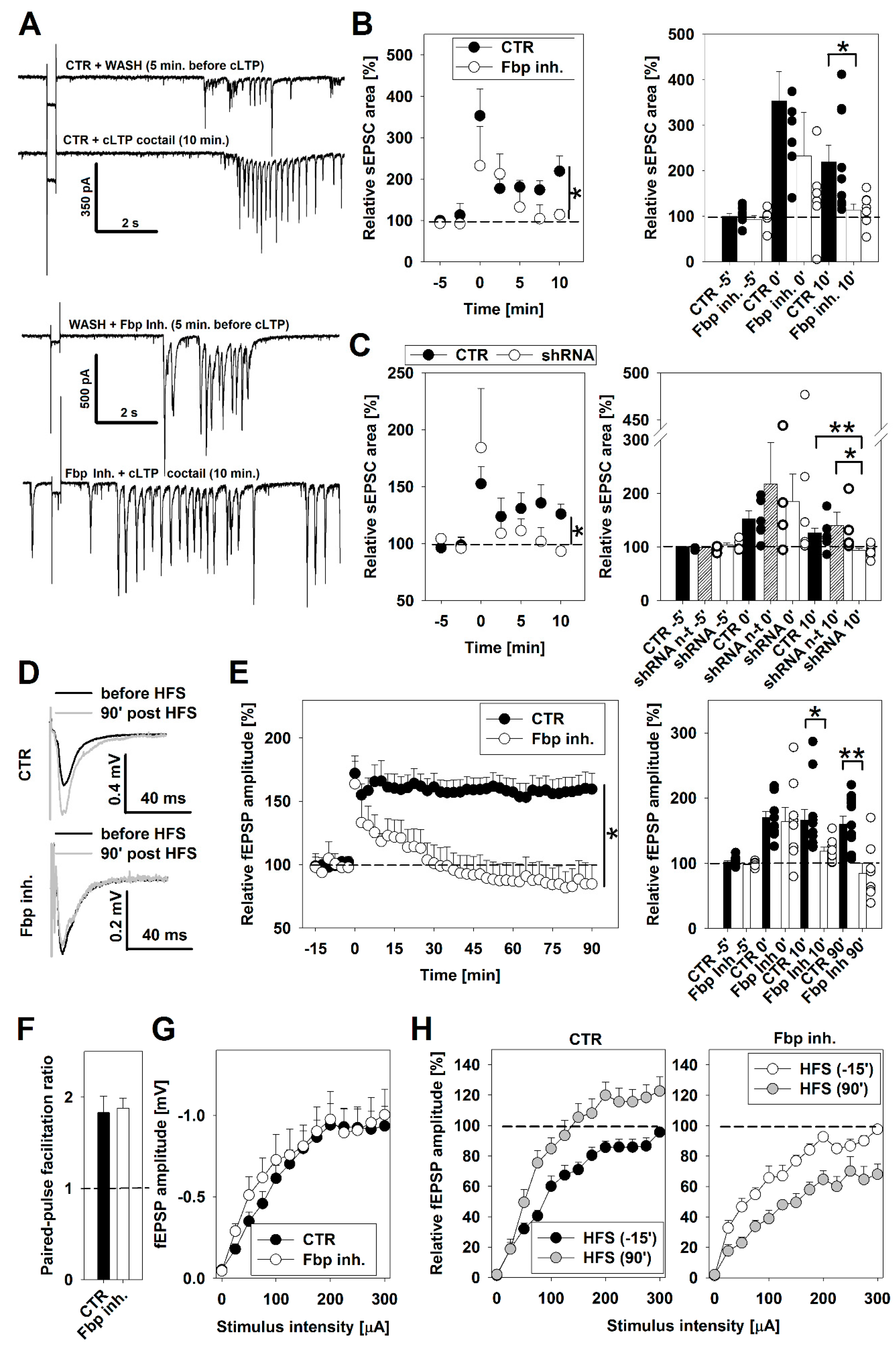 Cells 09 01375 g004 Cells 09 01375 g004