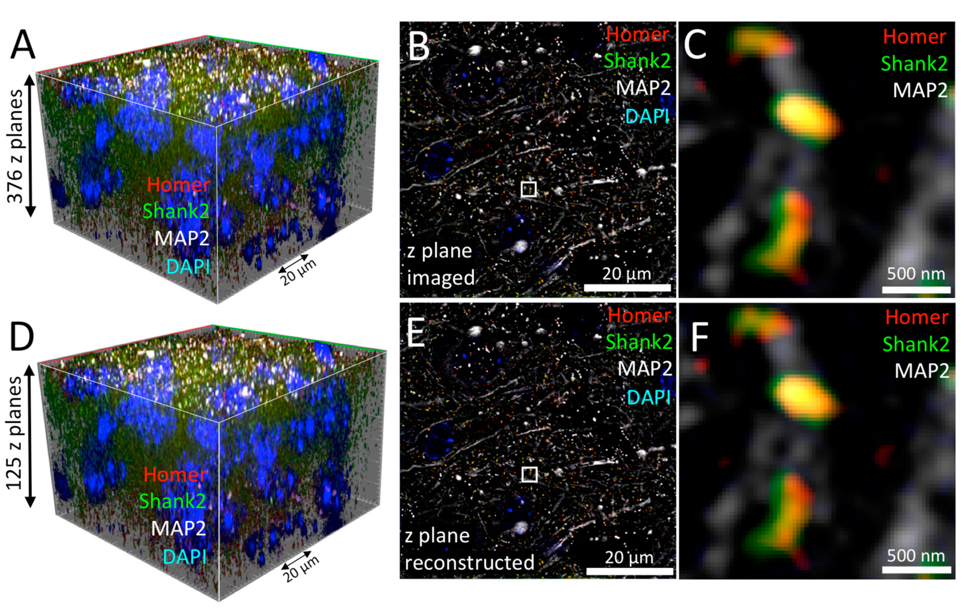 Cells 09 01377 g007 Cells 09 01377 g007
