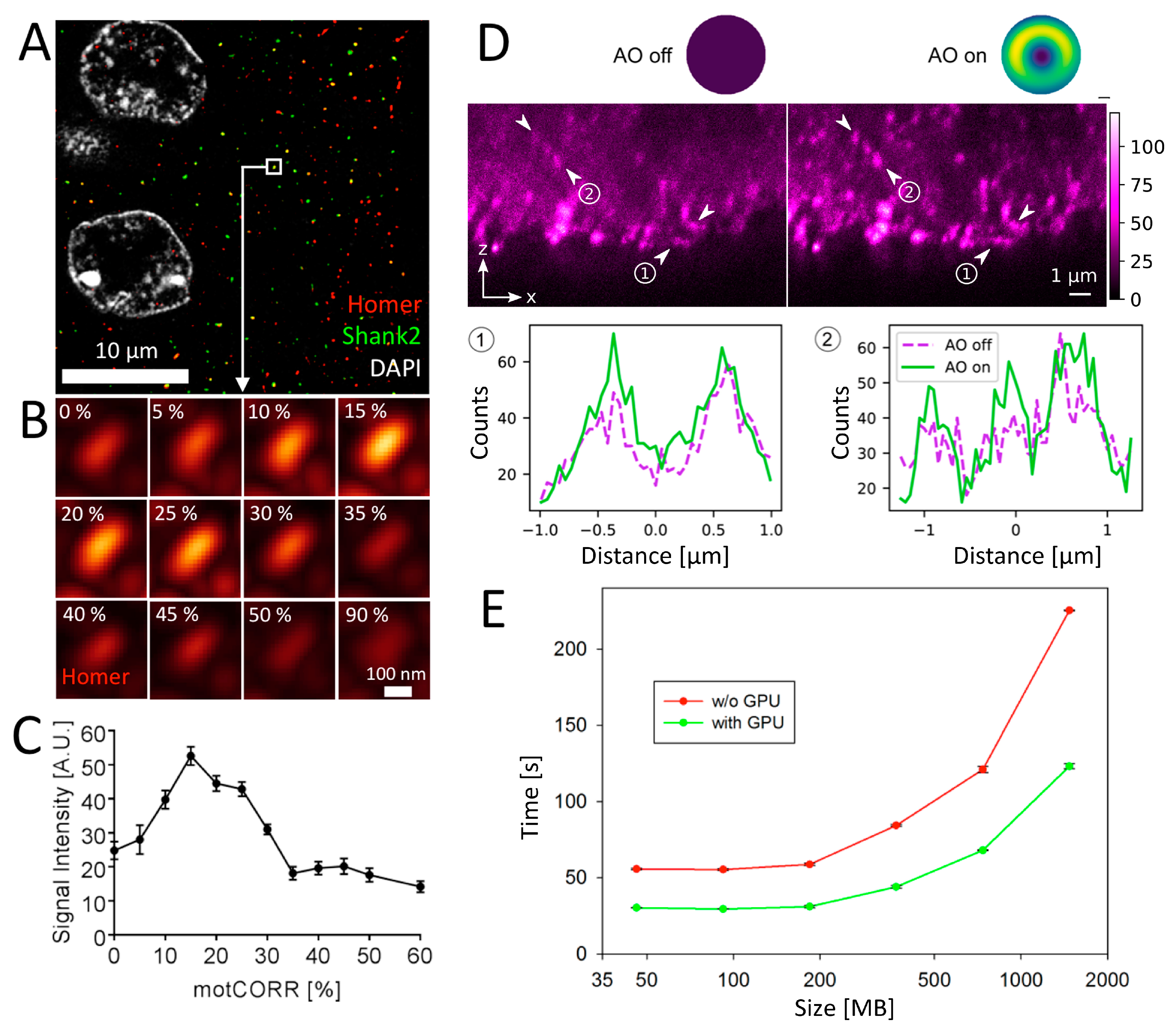 Cells 09 01377 g008 Cells 09 01377 g008