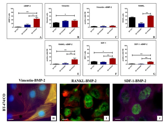 Cells Free Full Text Bmp 2 Variants In Breast Epithelial To Mesenchymal Transition And Microcalcifications Origin Html Cells Free Full Text Bmp 2 Variants In Breast Epithelial To Mesenchymal Transition And Microcalcifications Origin Html