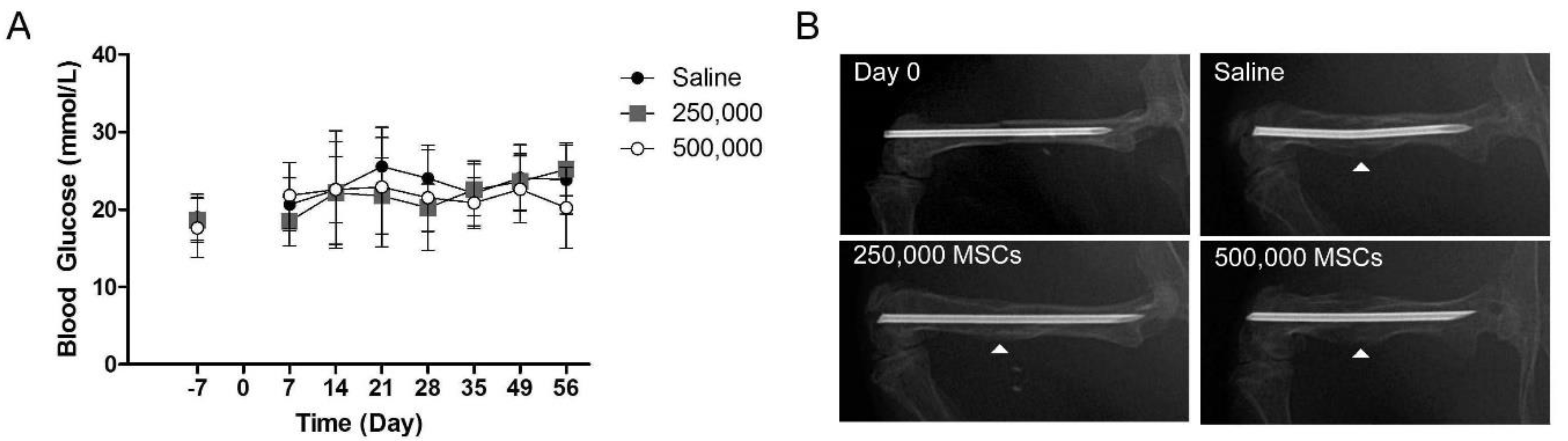 Cells 09 01394 g002 Cells 09 01394 g002