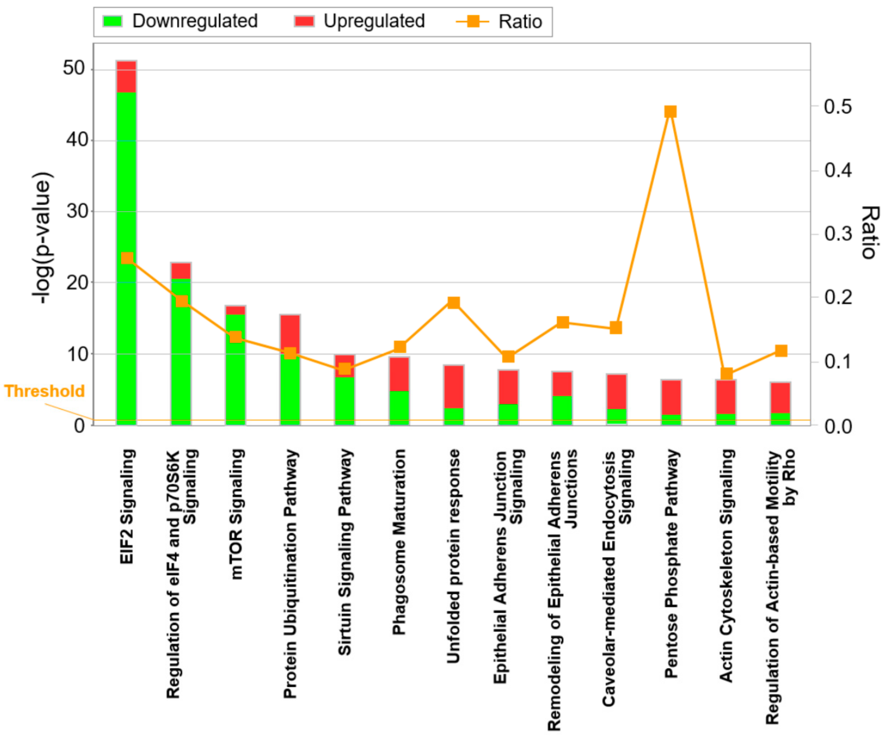 Cells 09 01397 g003 Cells 09 01397 g003