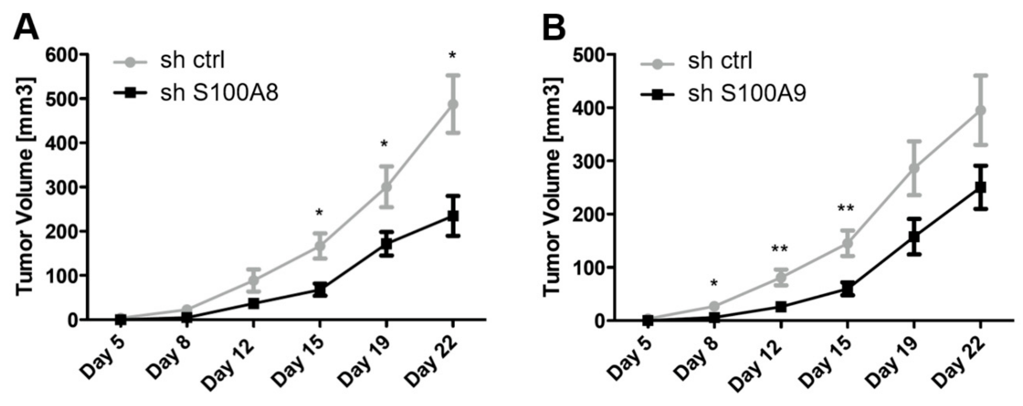 Cells 09 01397 g006 Cells 09 01397 g006