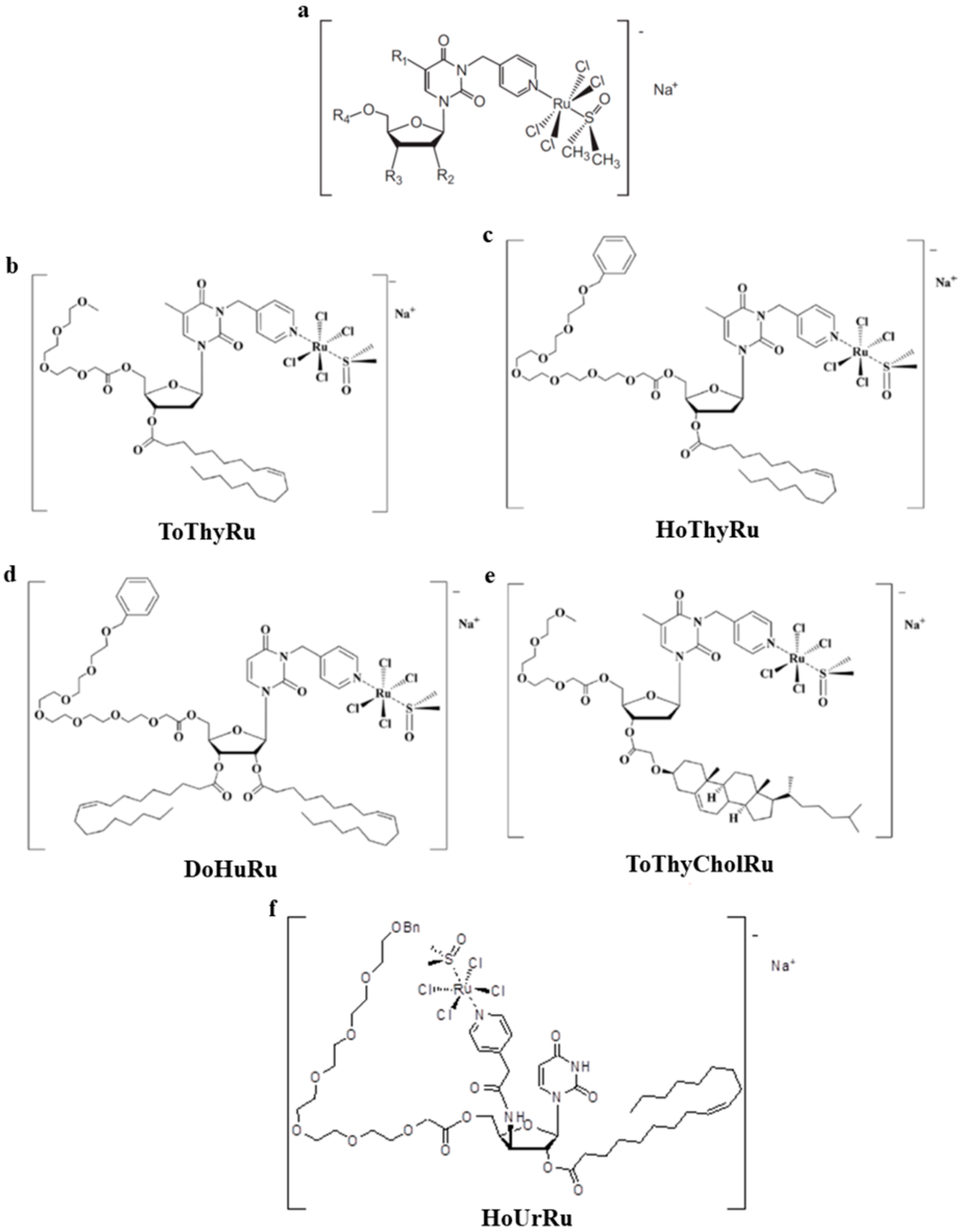 Cells 09 01412 g002 Cells 09 01412 g002