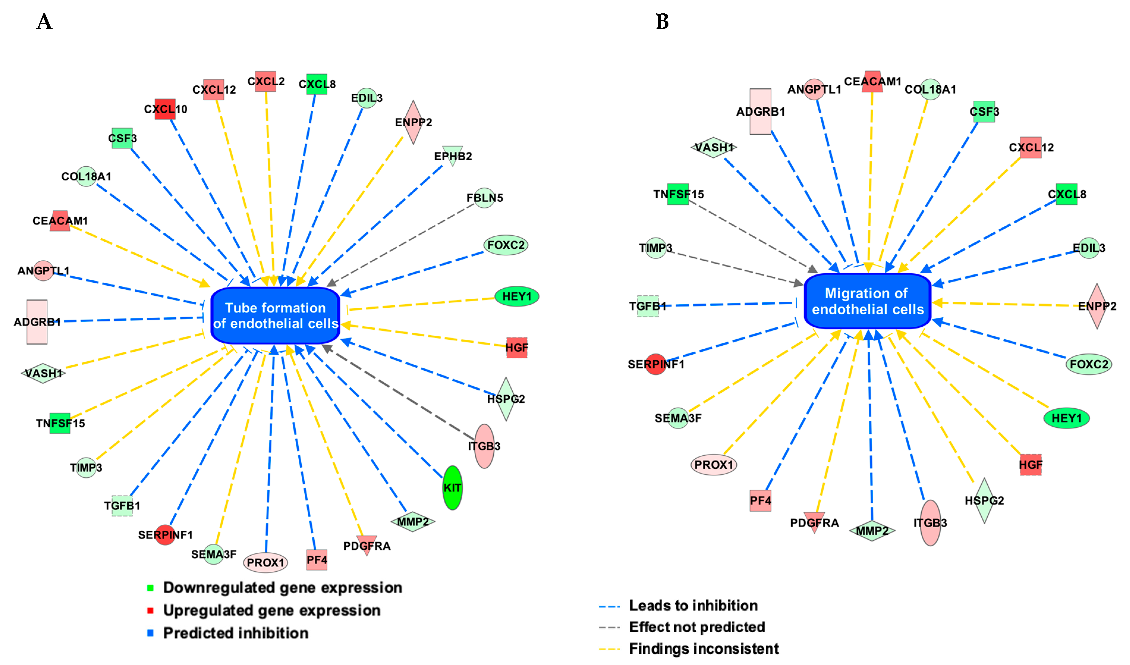 Cells 09 01414 g004 Cells 09 01414 g004