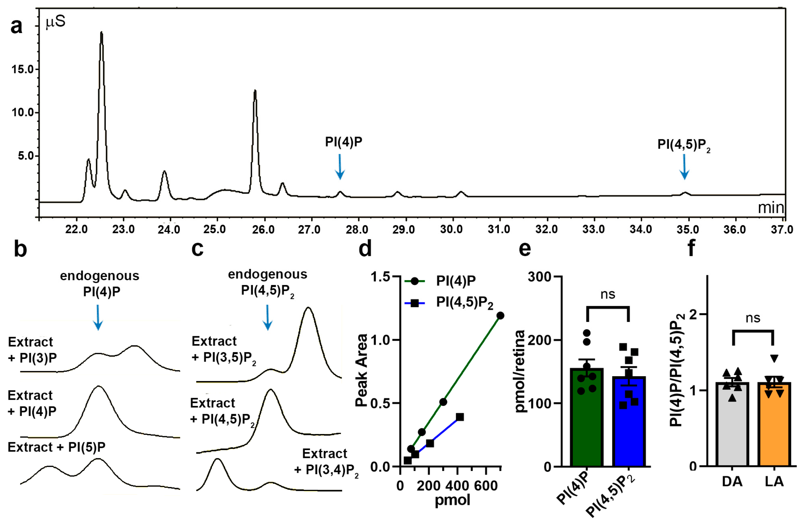 Cells 09 01417 g001 Cells 09 01417 g001
