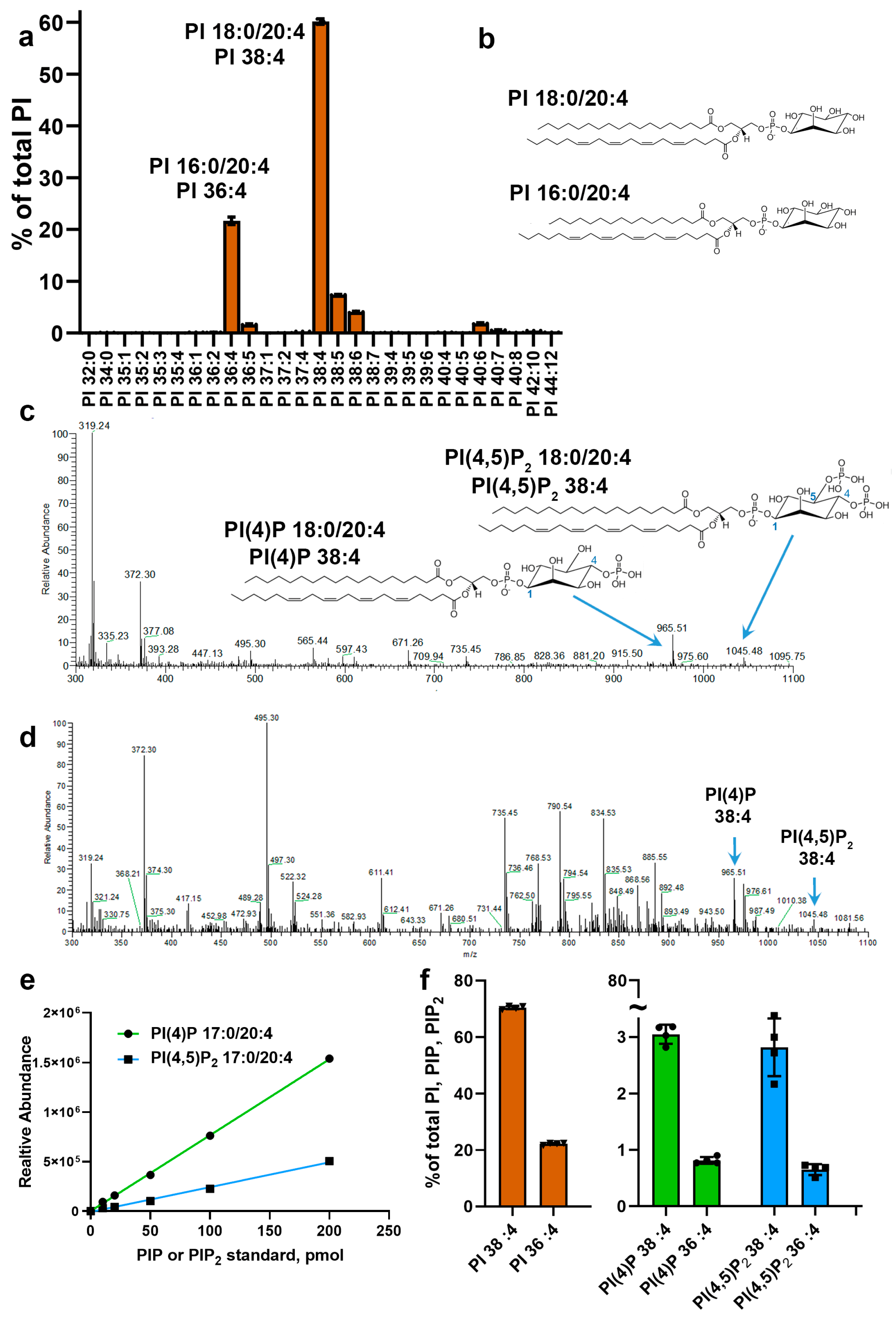 Cells 09 01417 g002 Cells 09 01417 g002