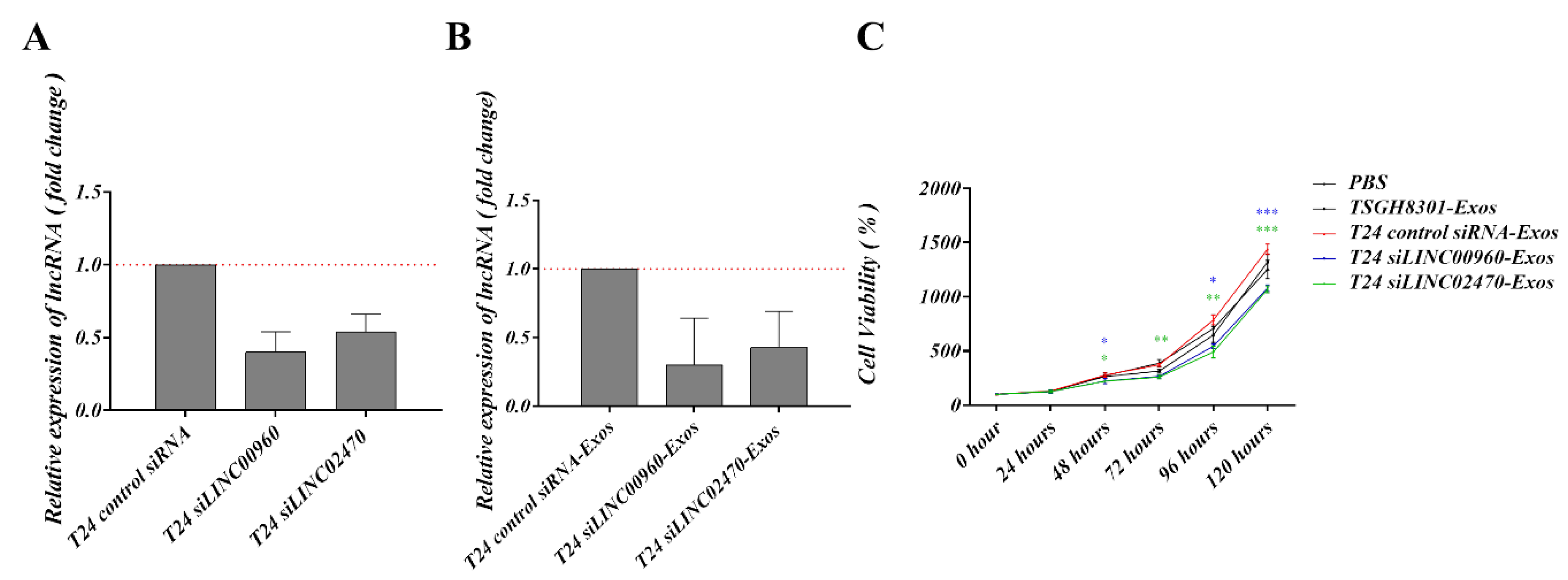 Cells 09 01419 g006 Cells 09 01419 g006