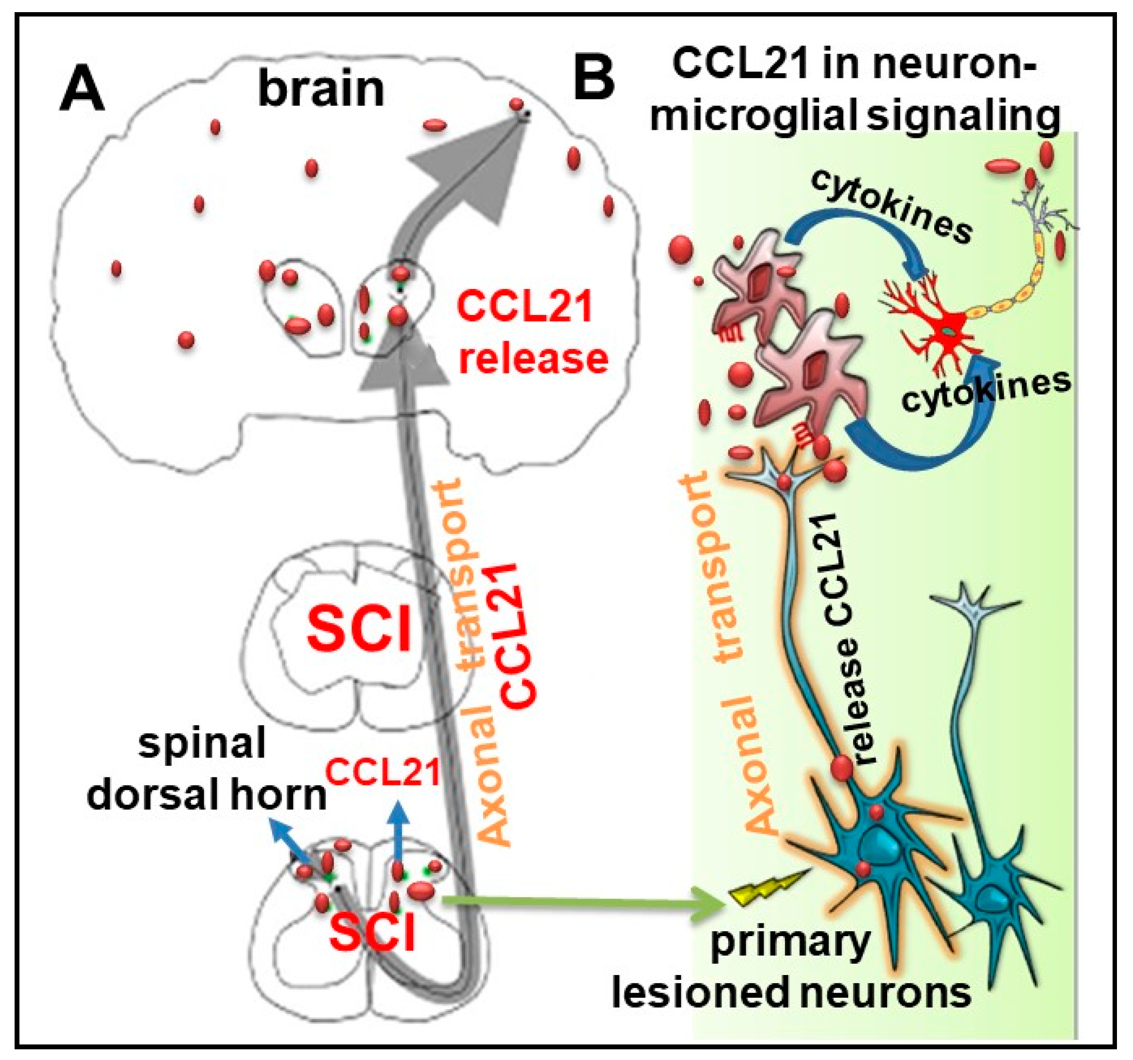 brain injury endnote formate brain injury endnote formate