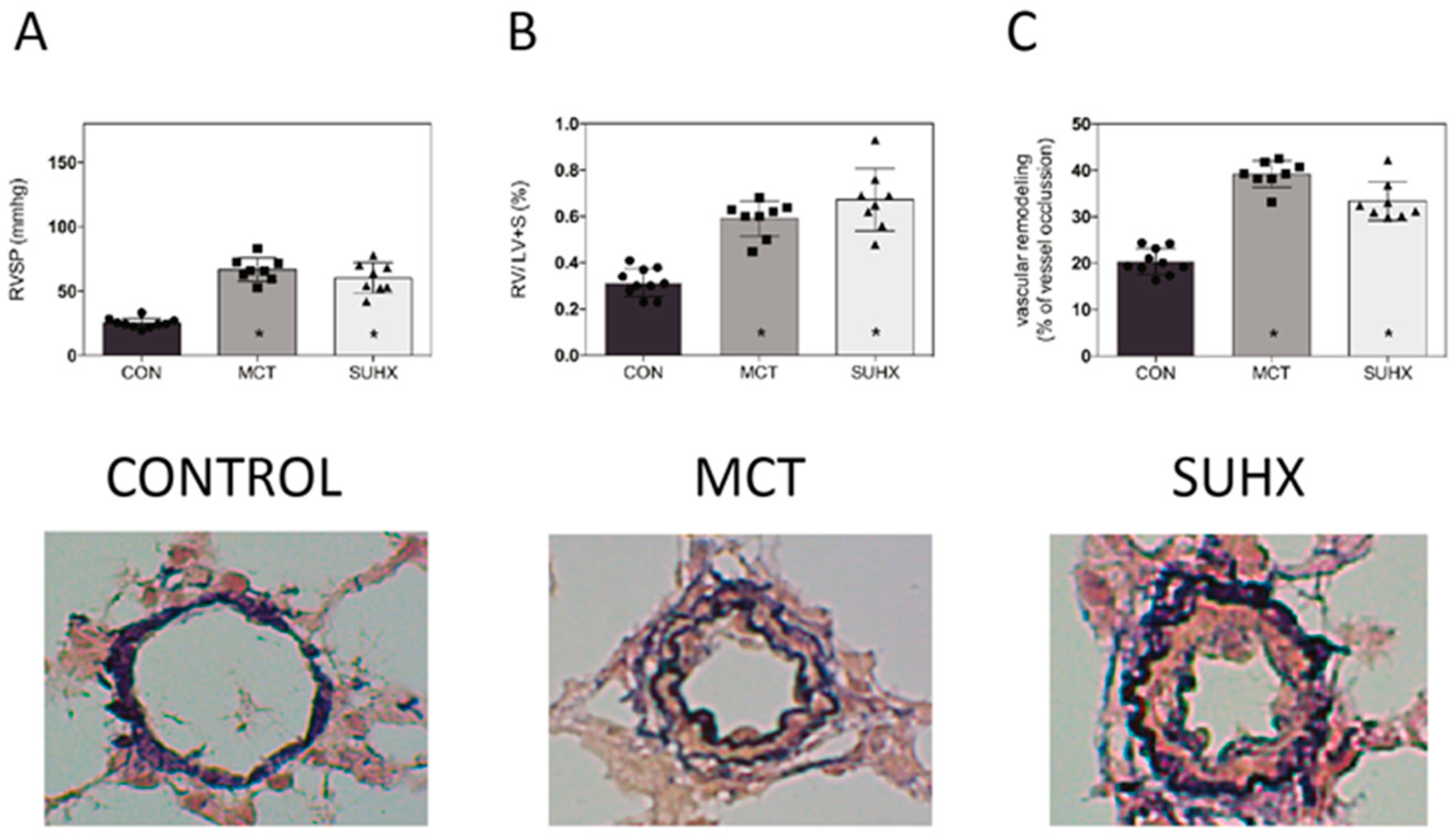 Cells 09 01422 g003 Cells 09 01422 g003