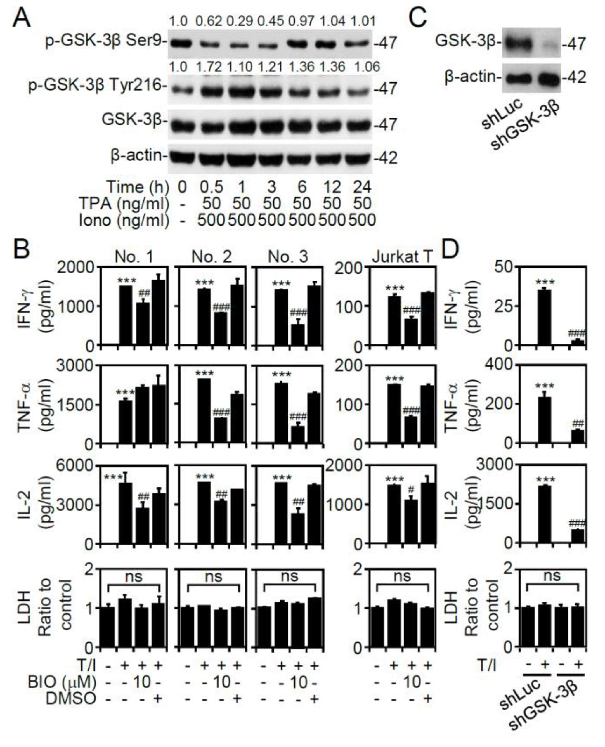 Cells 09 01424 g002 Cells 09 01424 g002