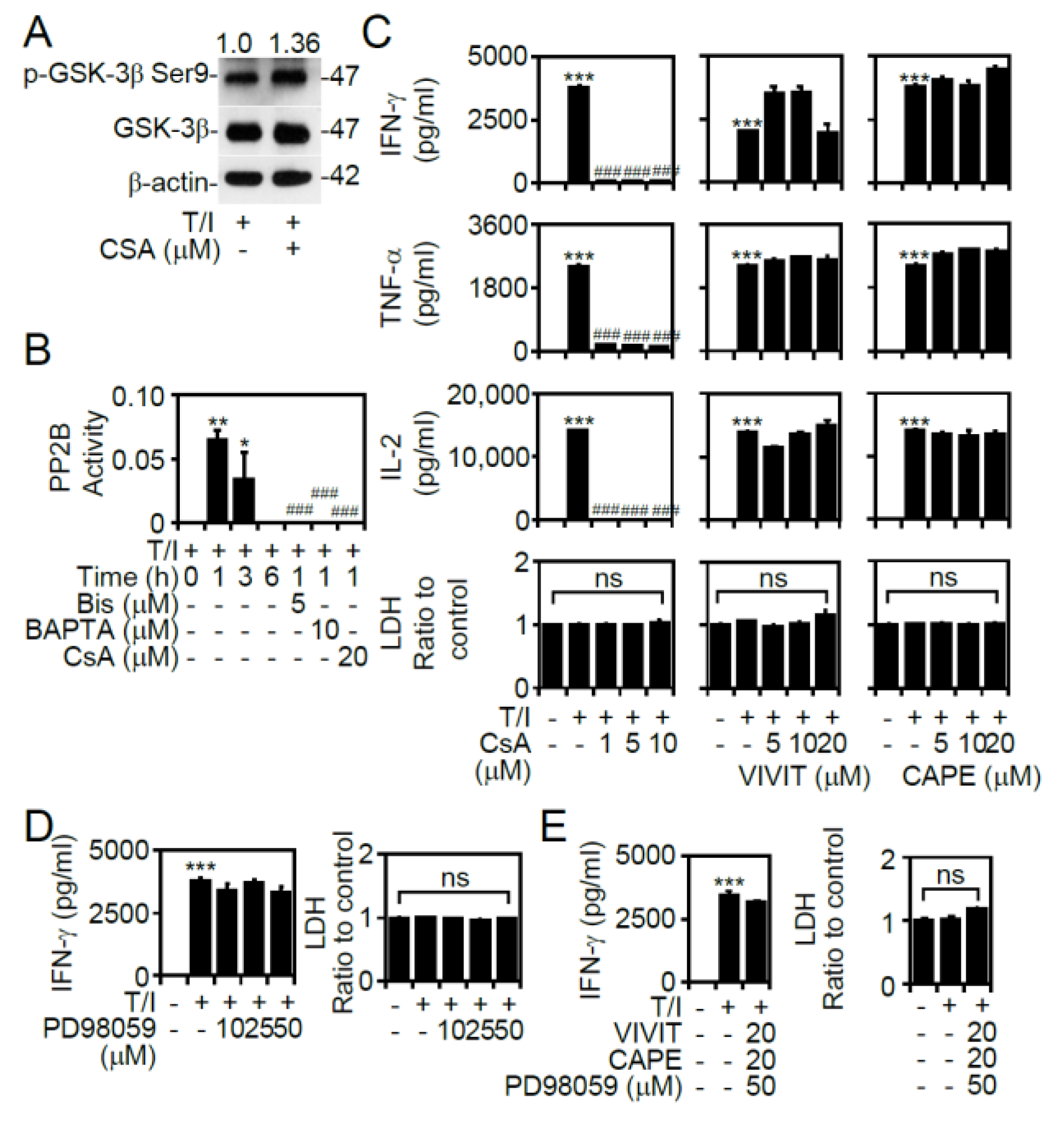 Cells 09 01424 g004 Cells 09 01424 g004