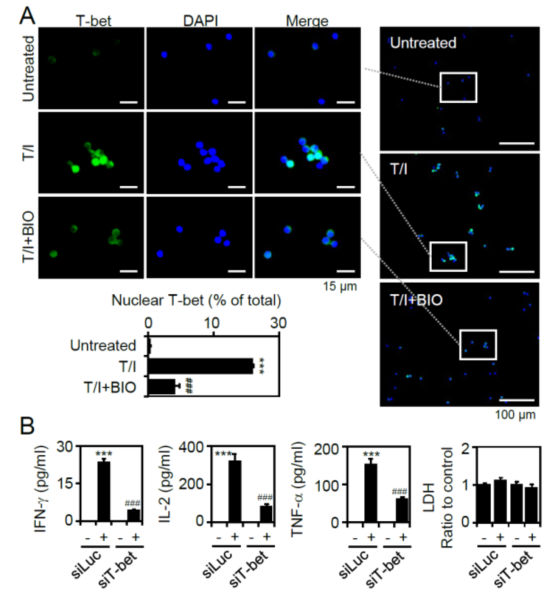 Cells 09 01424 g005 Cells 09 01424 g005
