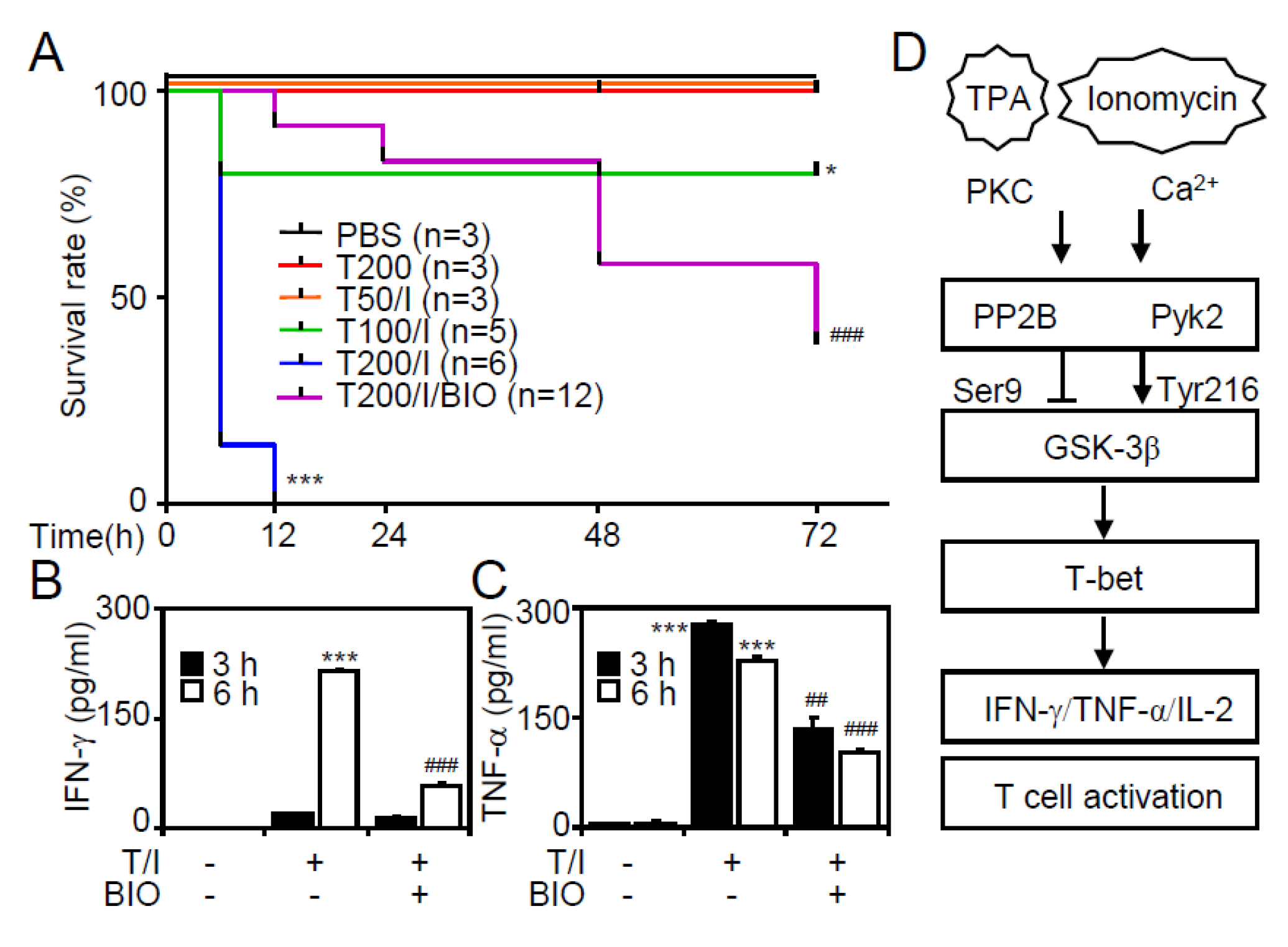Cells 09 01424 g006 Cells 09 01424 g006