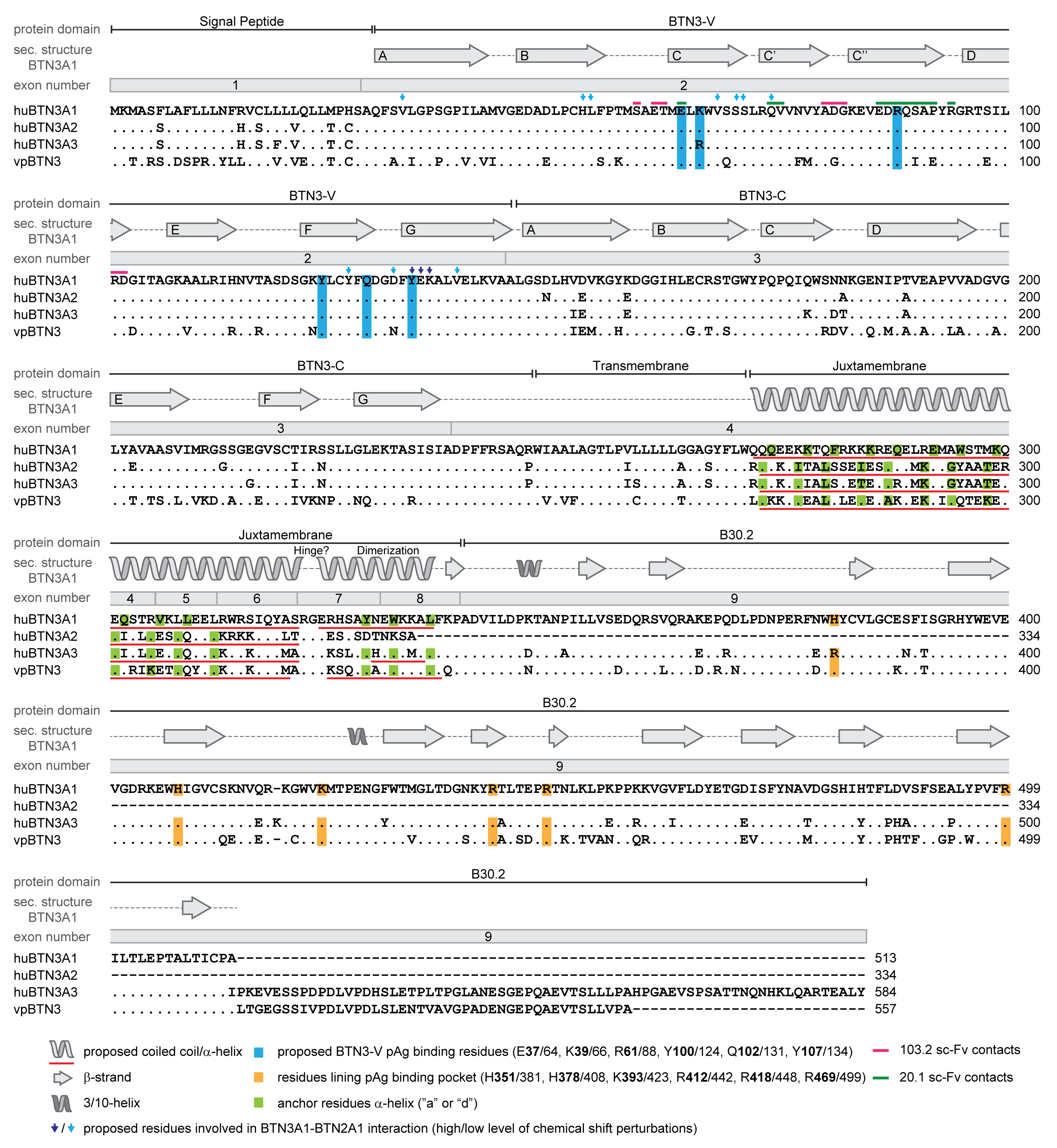 Cells 09 01433 g003 Cells 09 01433 g003