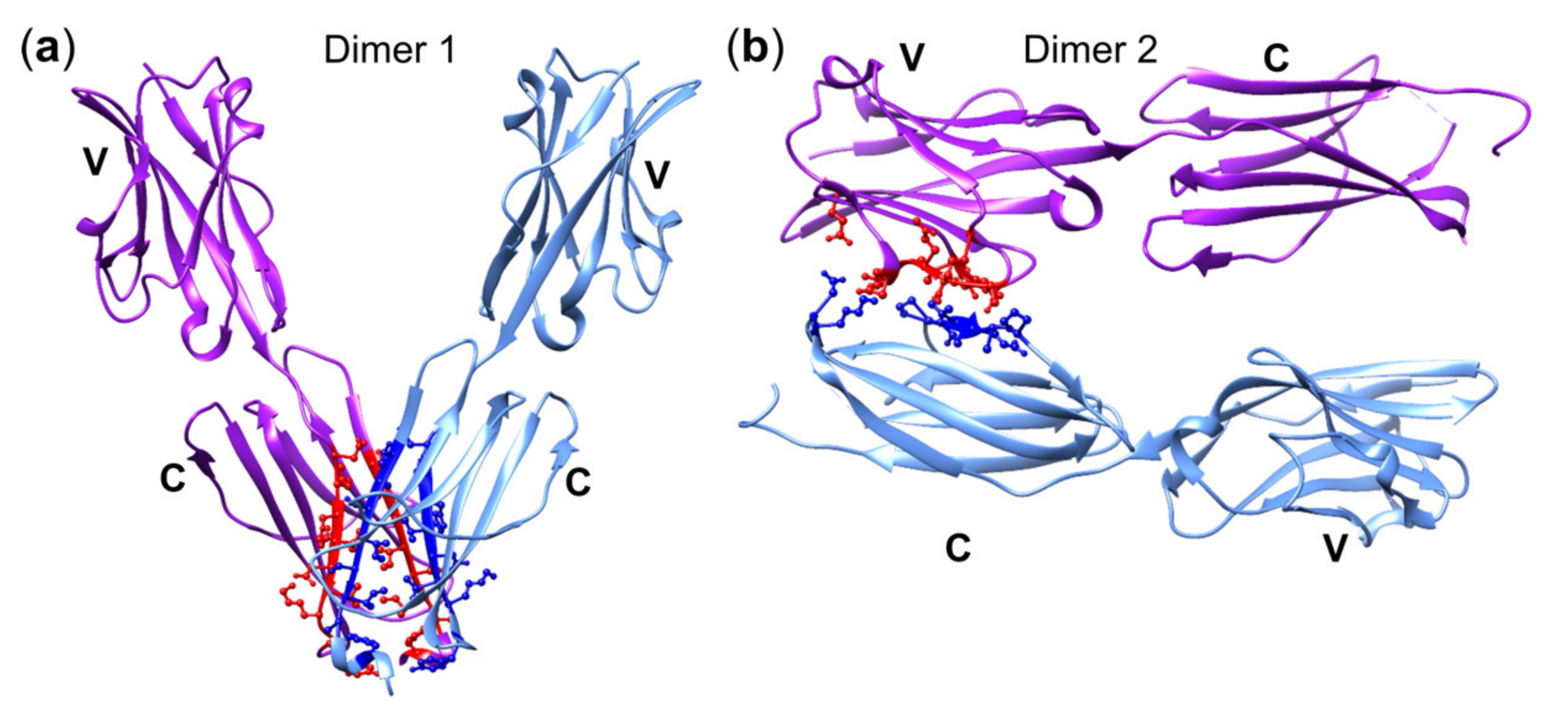 Cells 09 01433 g004 Cells 09 01433 g004