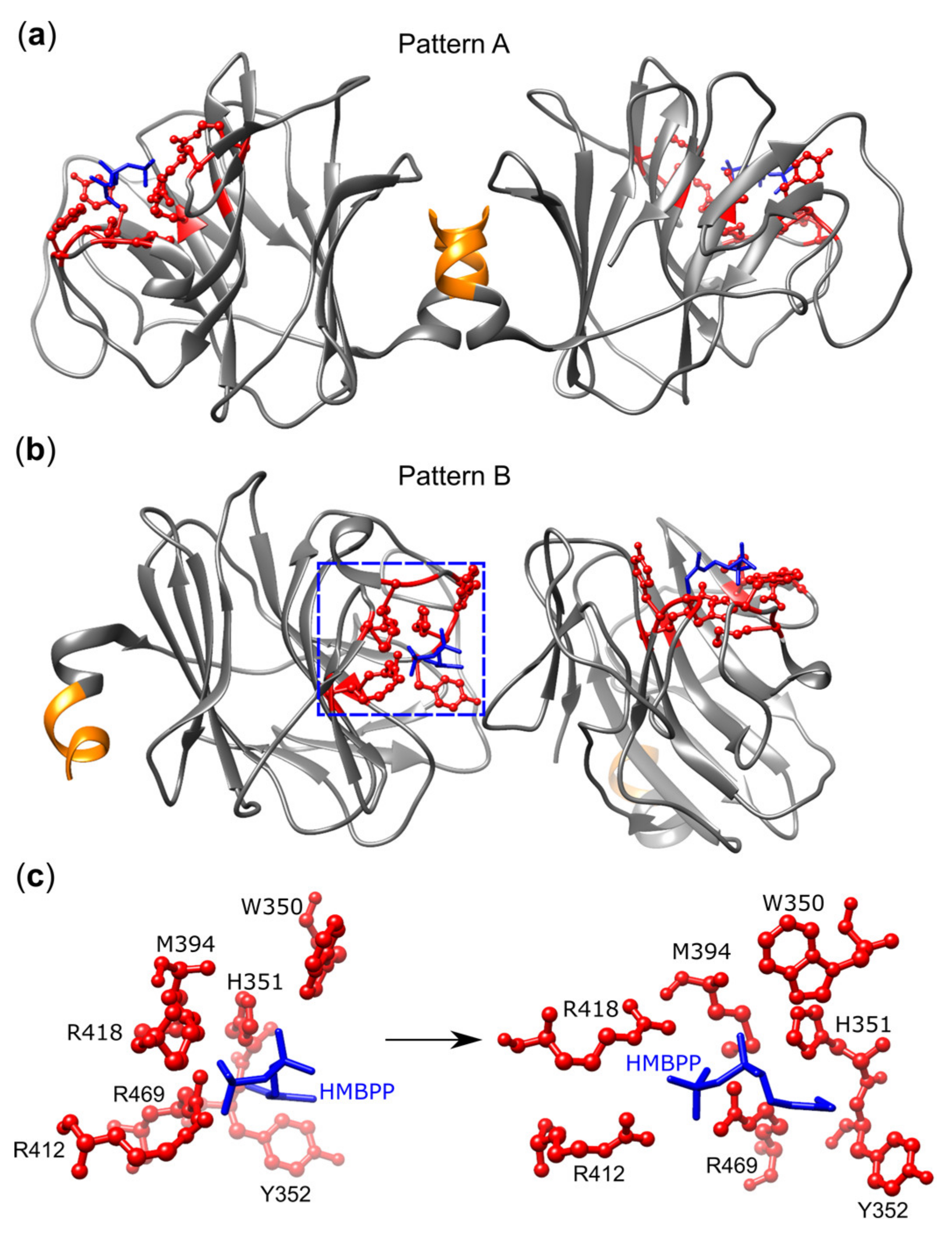 Cells 09 01433 g005 Cells 09 01433 g005
