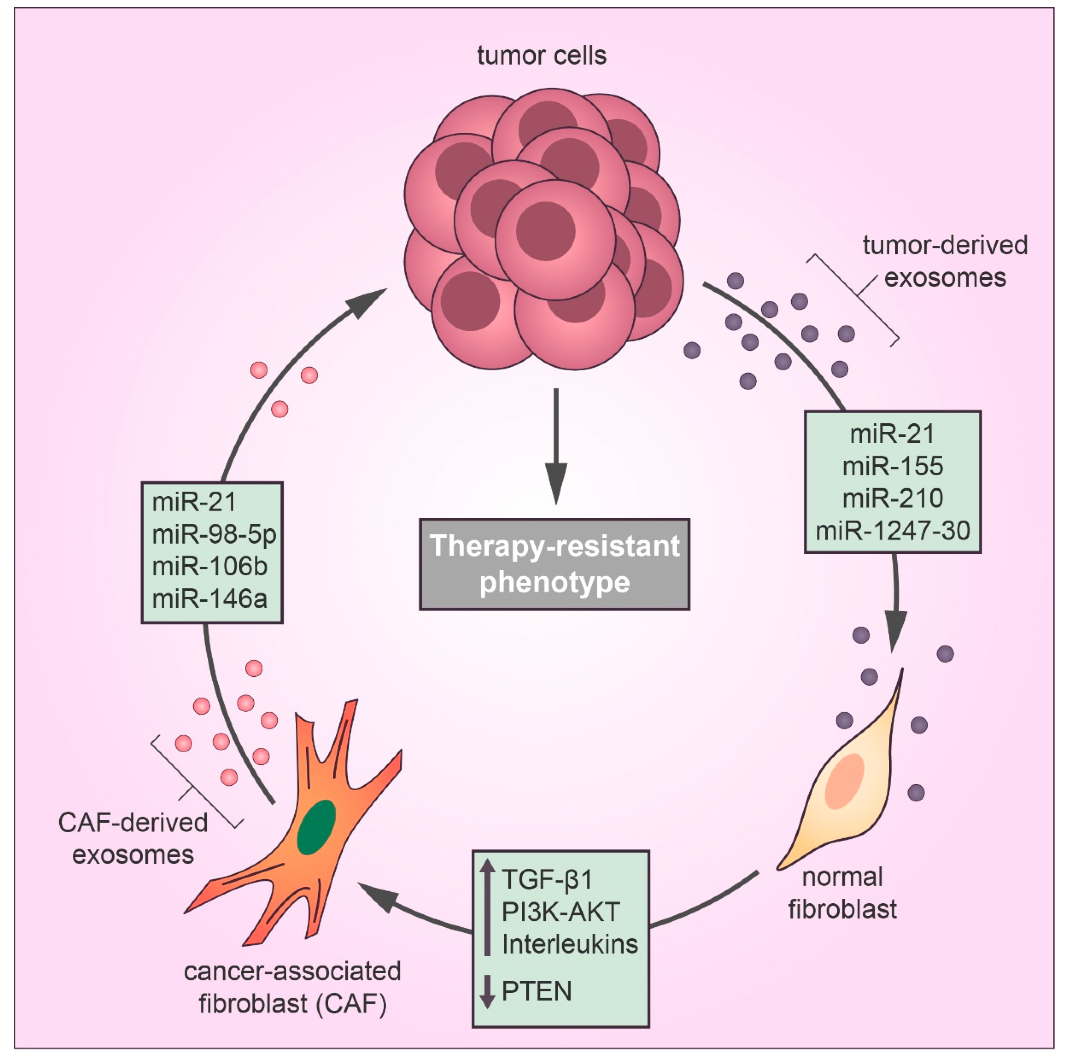 Cells 09 01450 g002 Cells 09 01450 g002