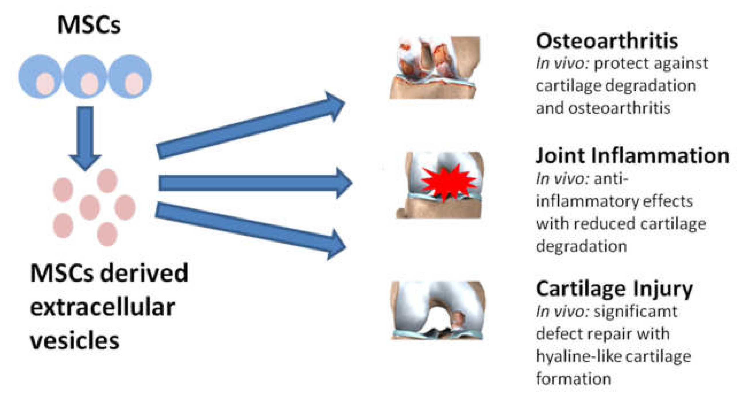 Cells 09 01453 g002 Cells 09 01453 g002
