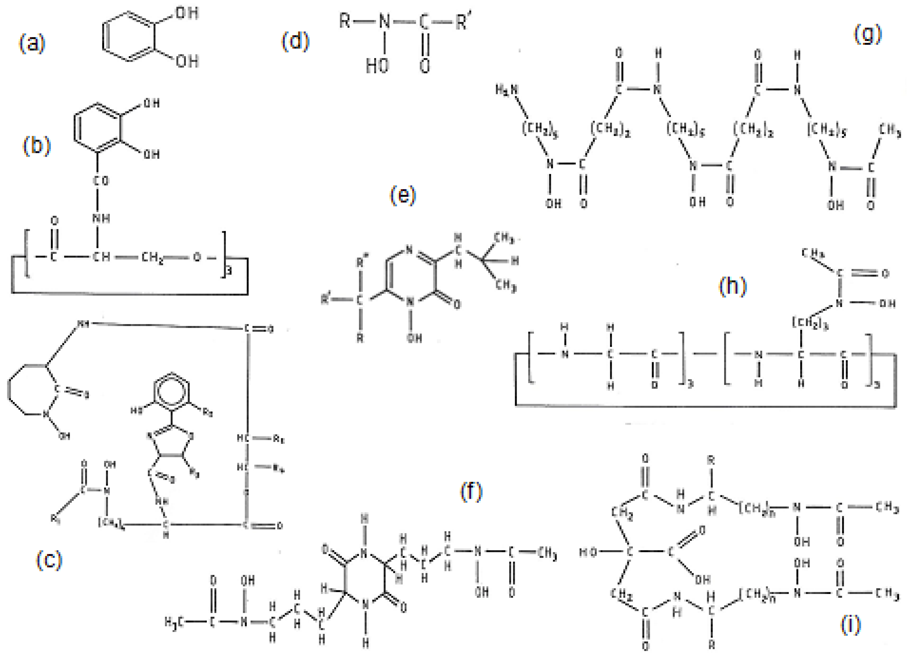 Cells 09 01456 g002 Cells 09 01456 g002