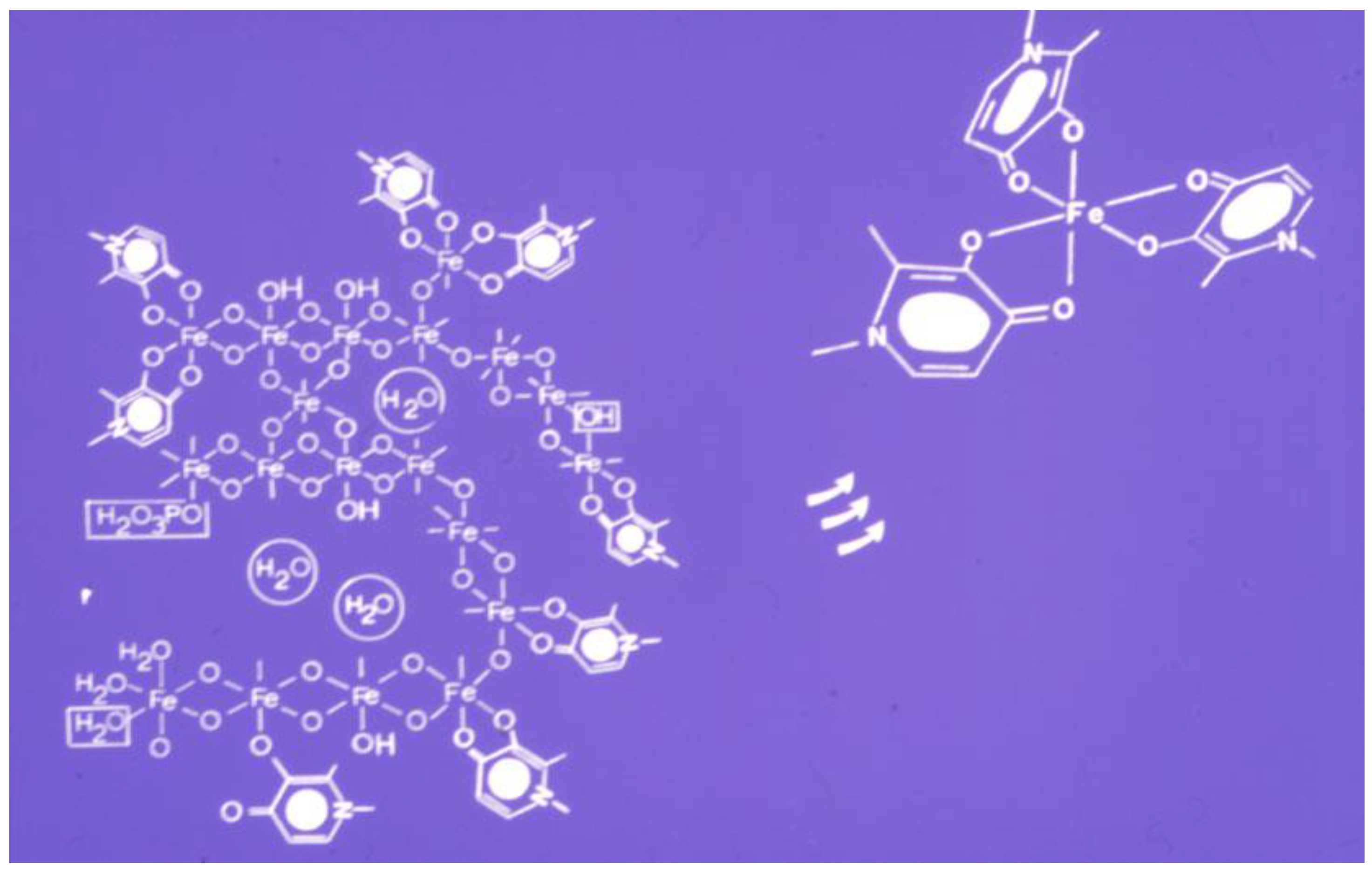 Cells 09 01456 g004 Cells 09 01456 g004