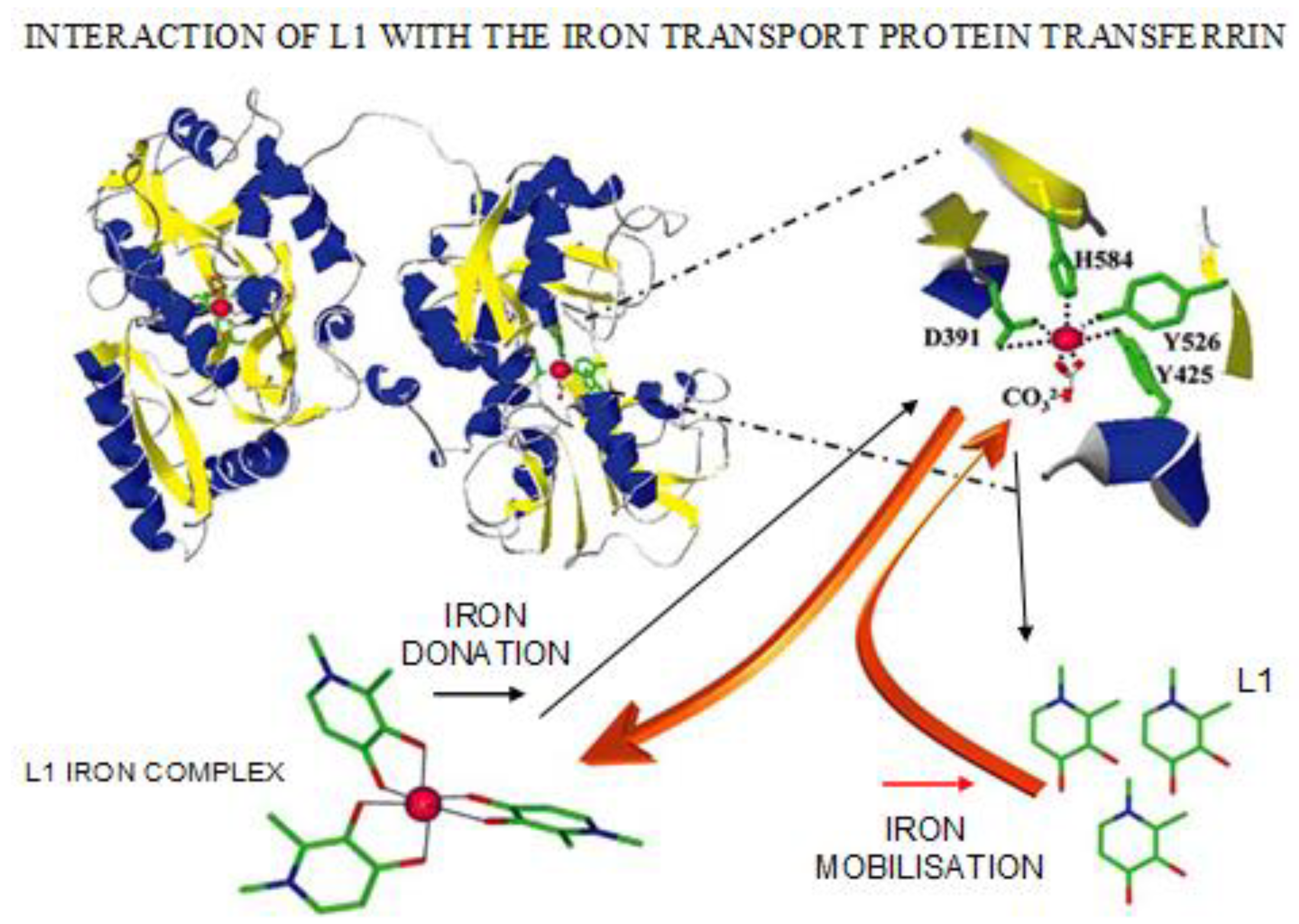 Cells 09 01456 g005 Cells 09 01456 g005