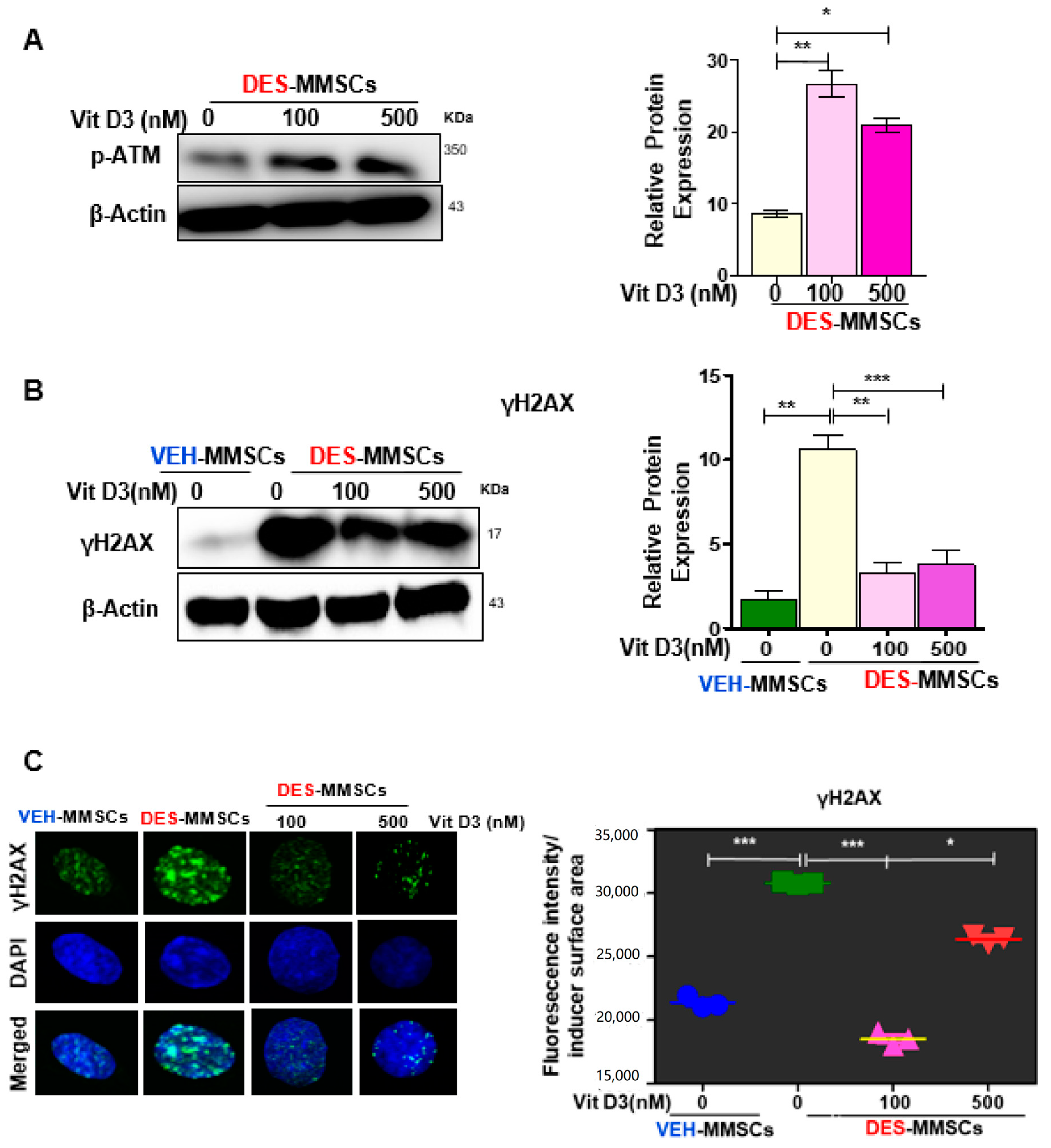 Cells 09 01459 g002 Cells 09 01459 g002