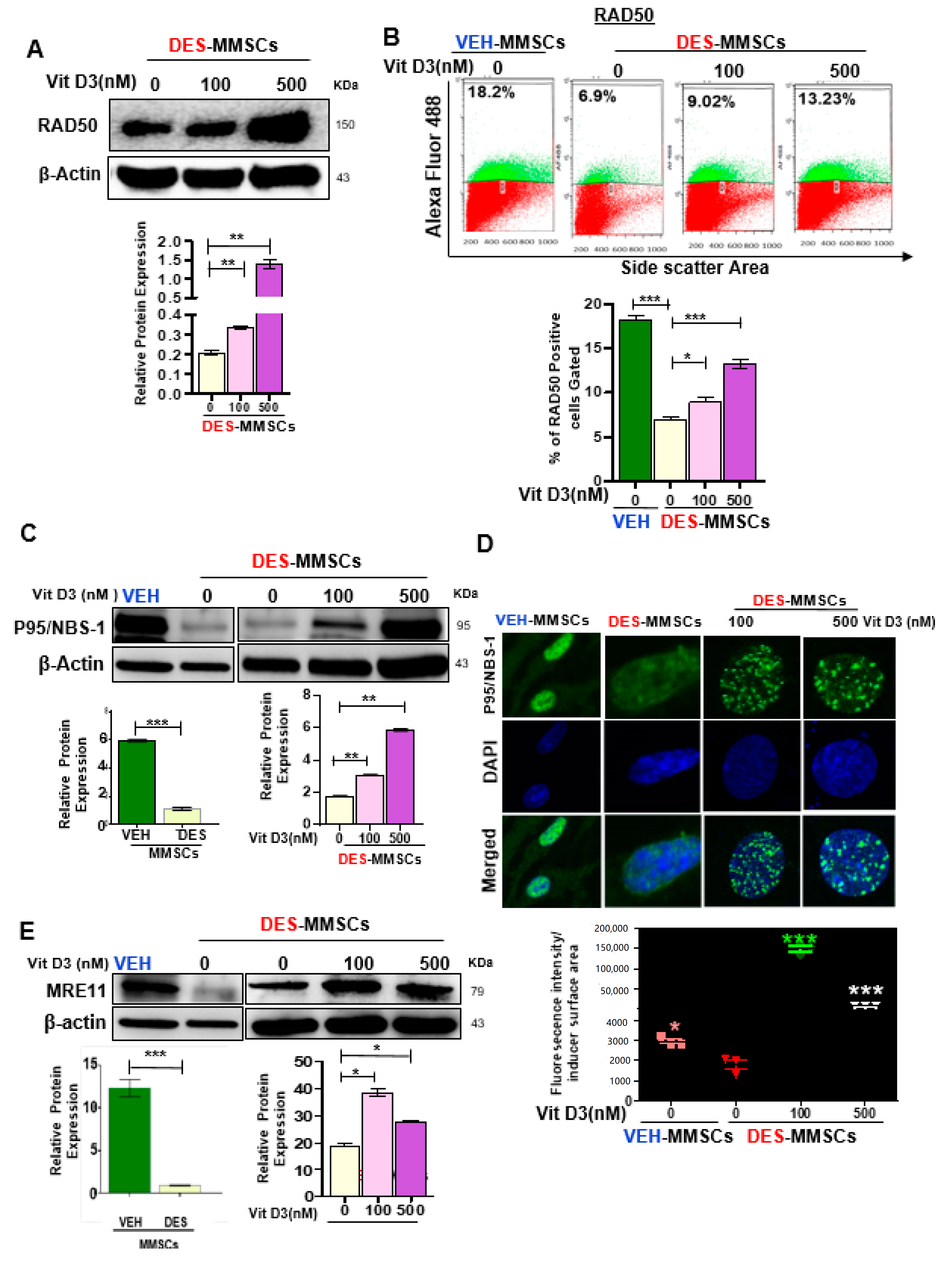 Cells 09 01459 g003 Cells 09 01459 g003