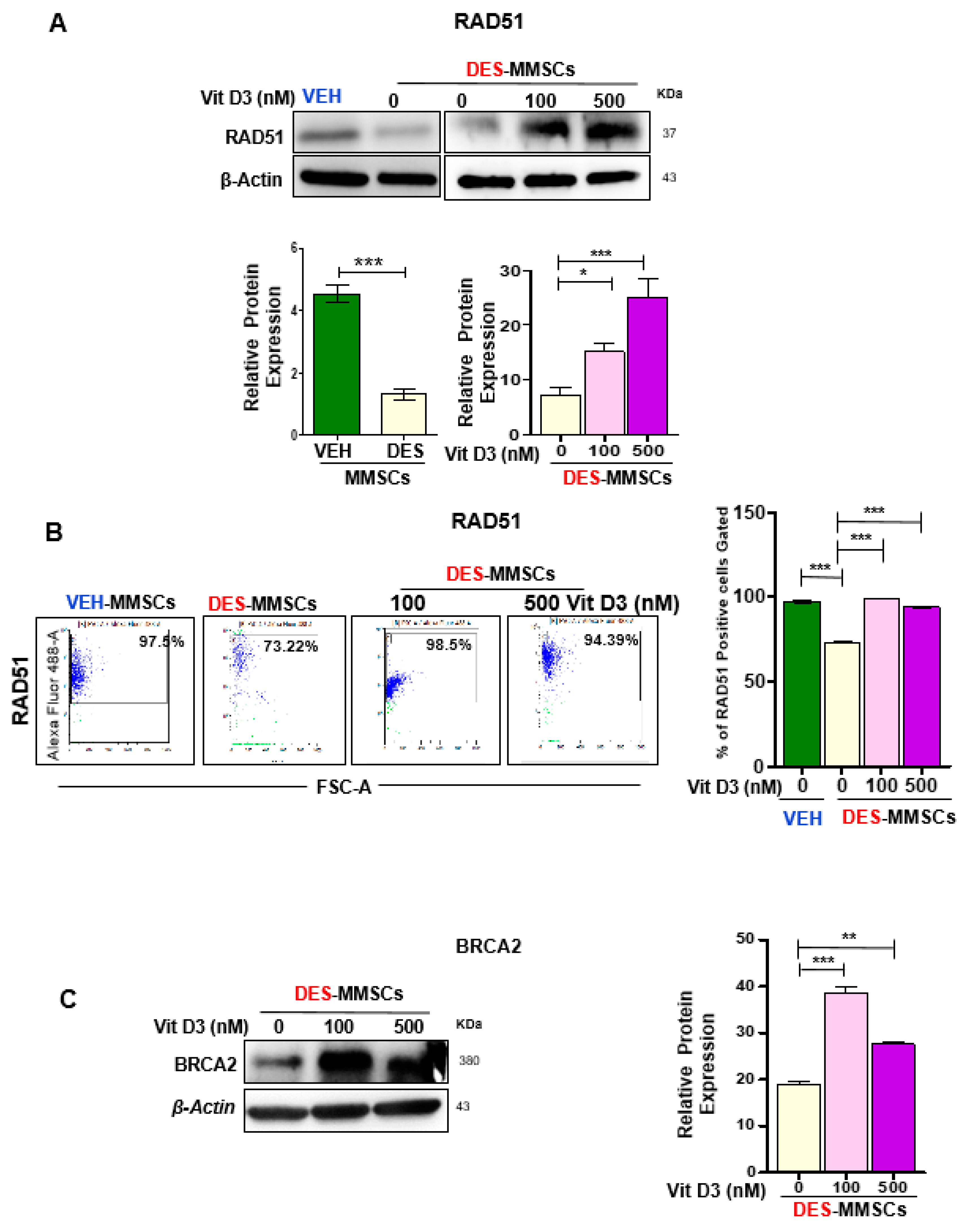 Cells 09 01459 g004 Cells 09 01459 g004