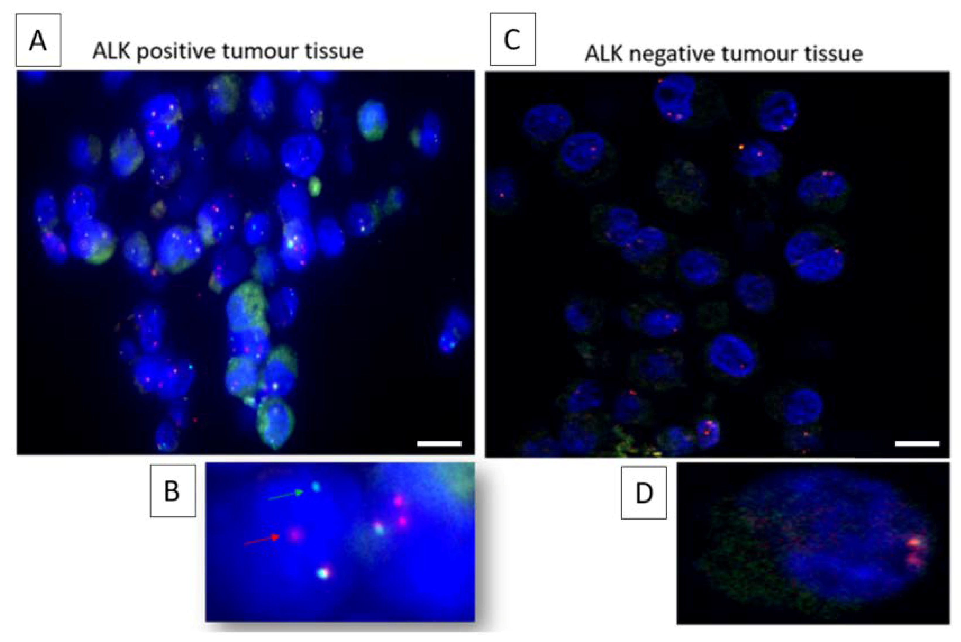 Cells 09 01465 g002 Cells 09 01465 g002