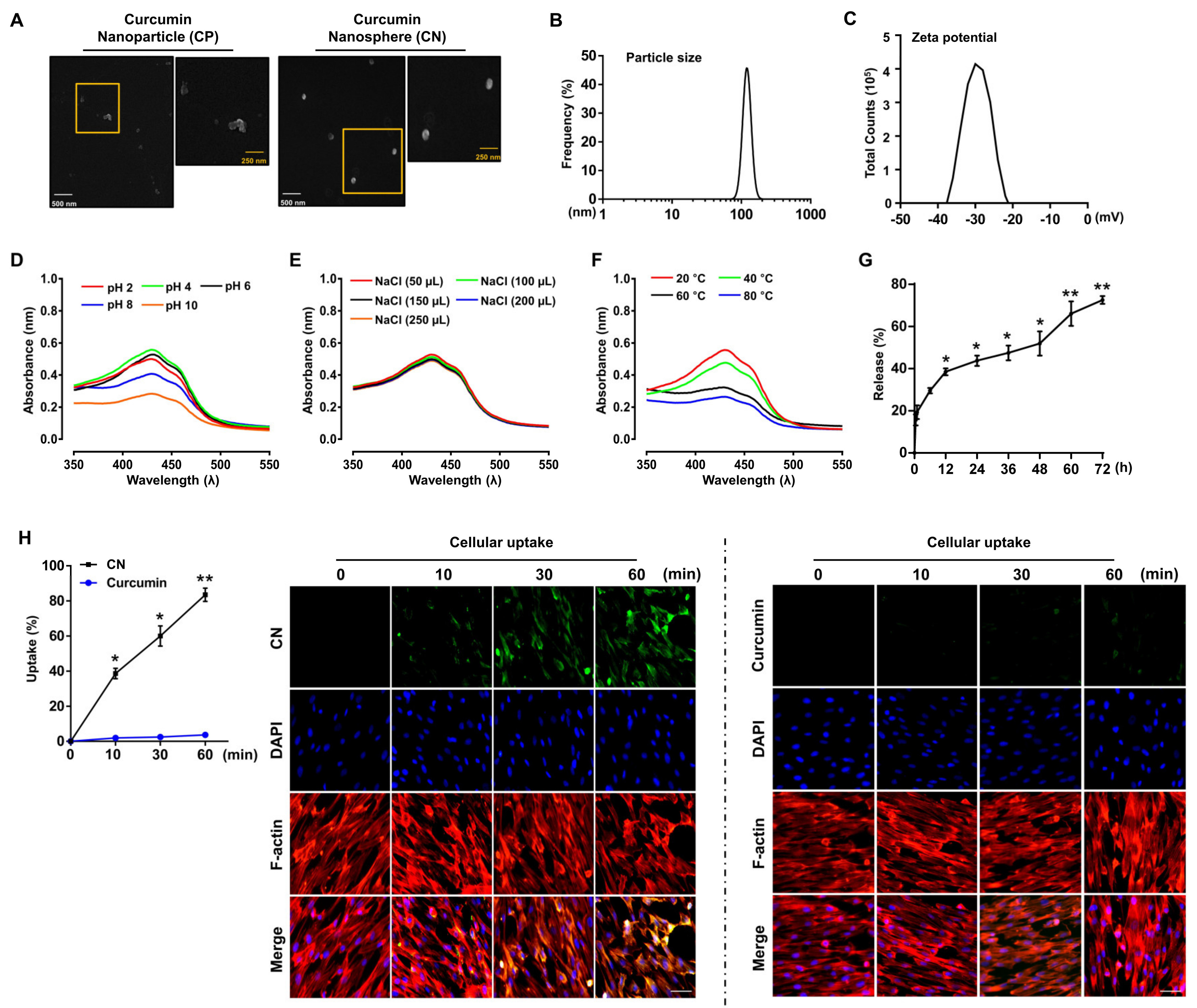 Cells 09 01467 g001 Cells 09 01467 g001
